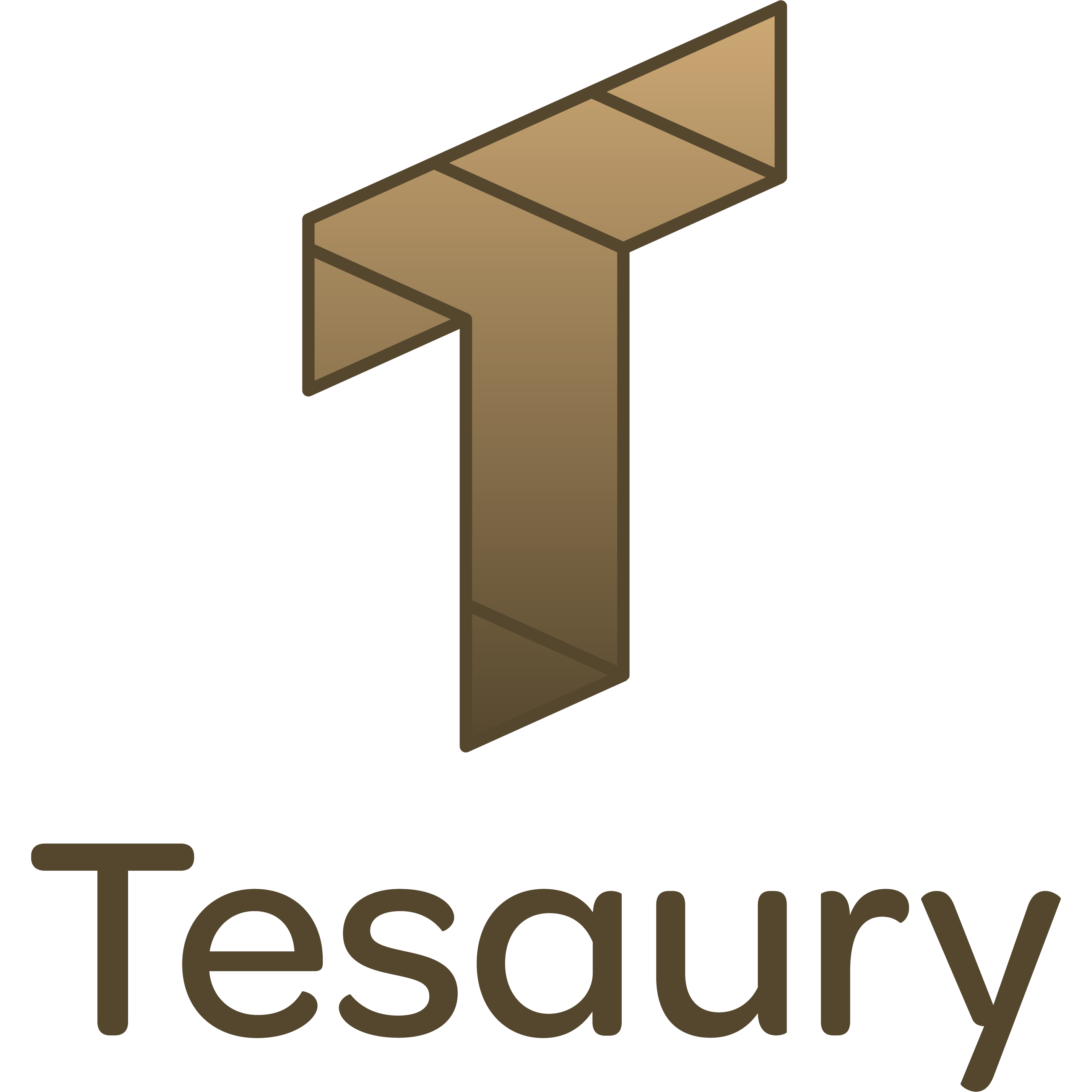 Tesaury Logo