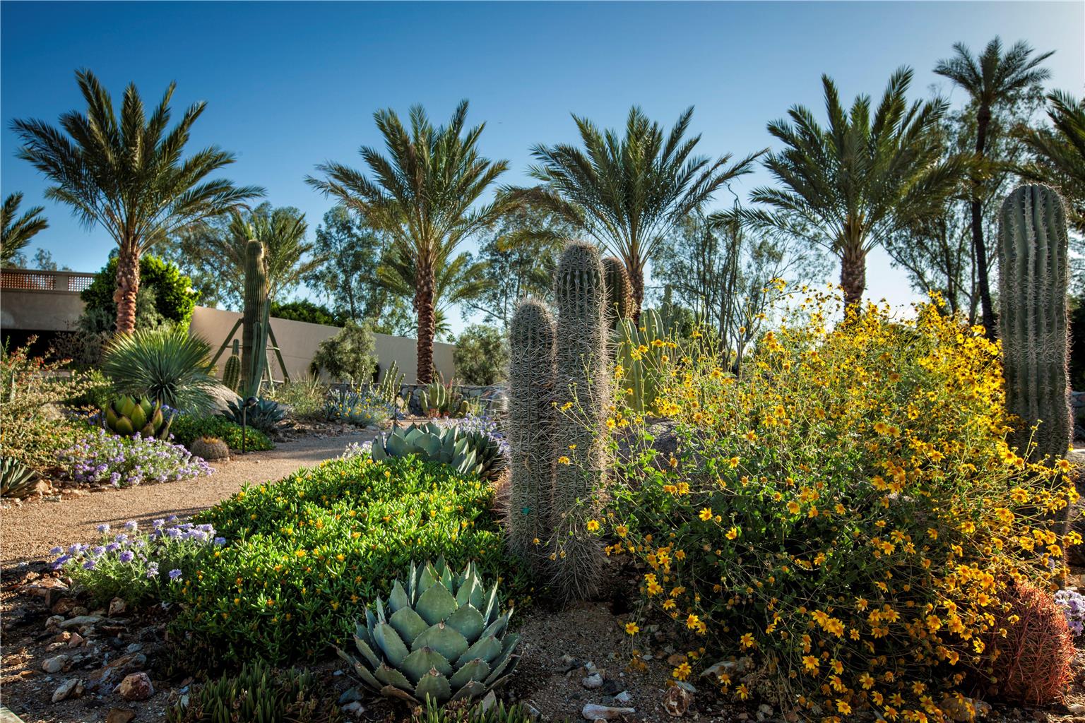 The Scottsdale Resort and Spa, Curio Collection by Hilton Image