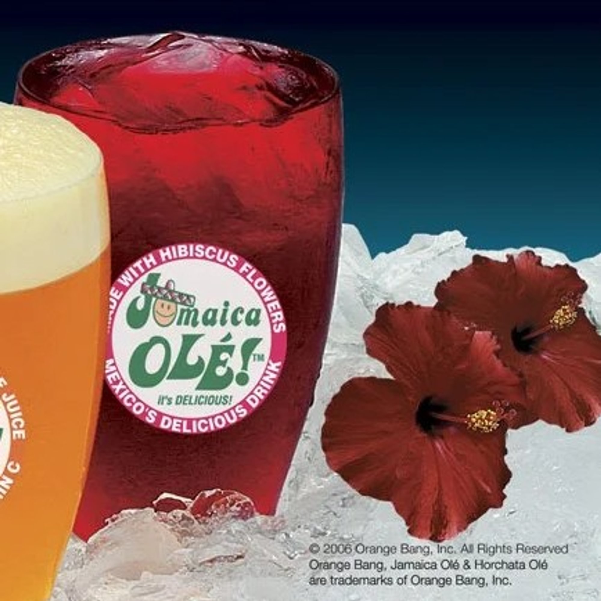 Agua Fresca Jamaica