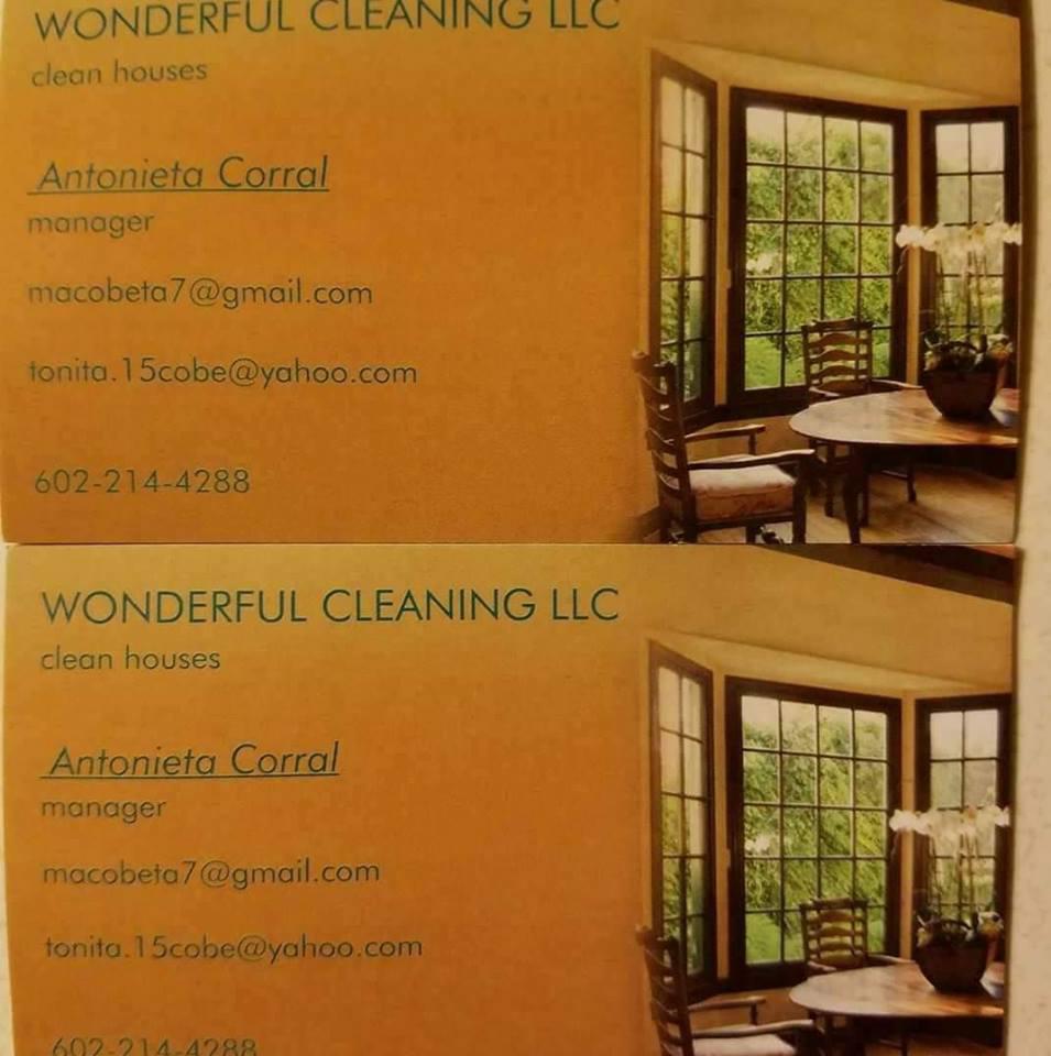 Wonderful Cleaning LLC Logo