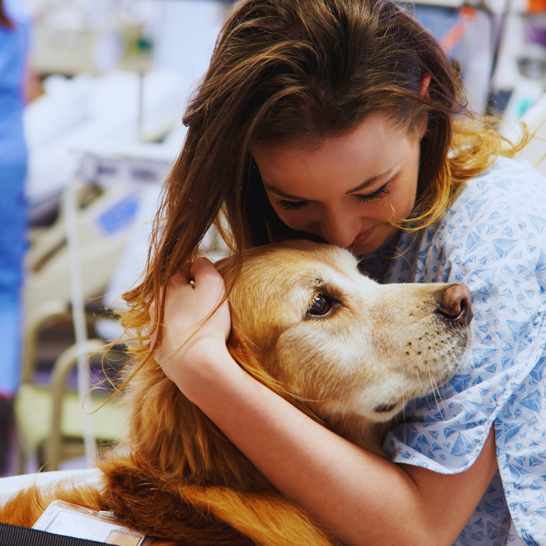 Animal Companion Therapy (A.C.T.)