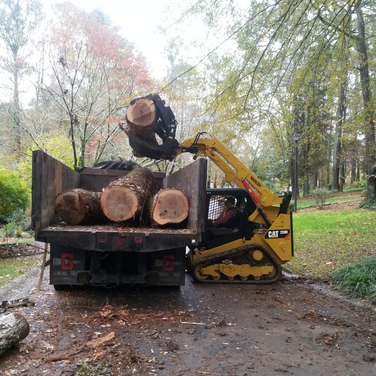 Su-Tree Service Image