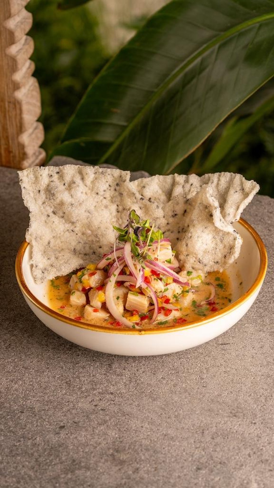 Tanuki Ceviche