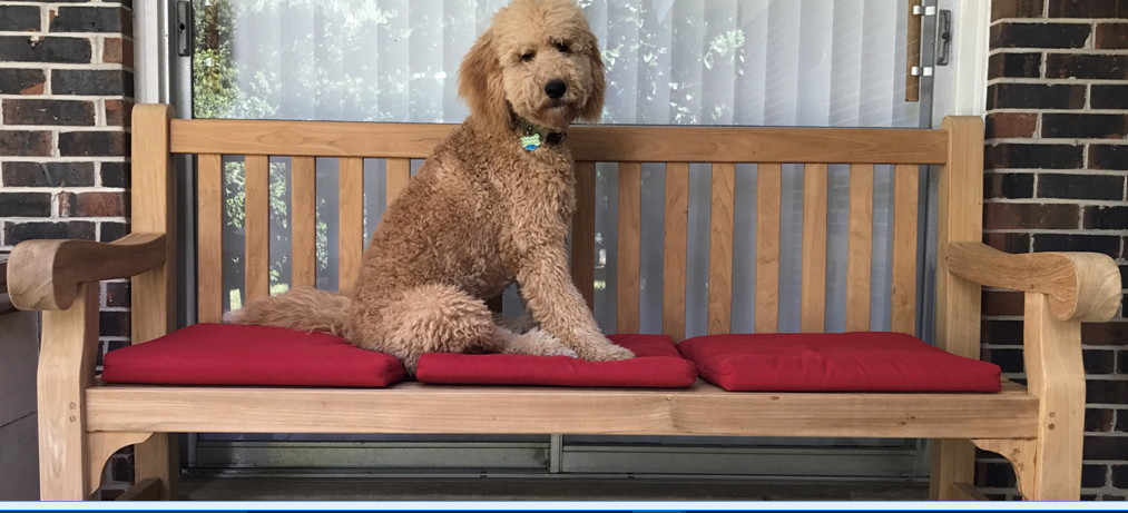 GOLDENTEAK – Teak Outdoor Furniture Image