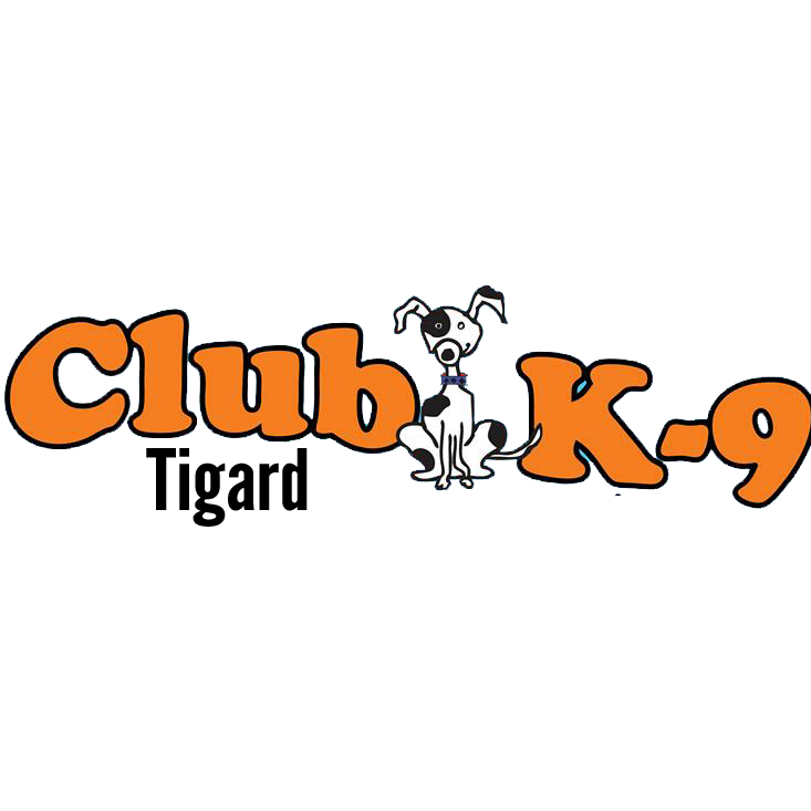 Club K-9 Photo