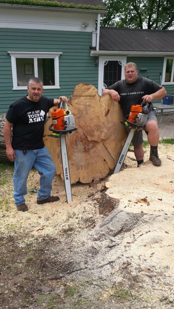 Top Notch Tree Care Photo