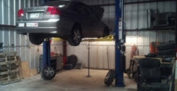 Pro Trans Plus Image