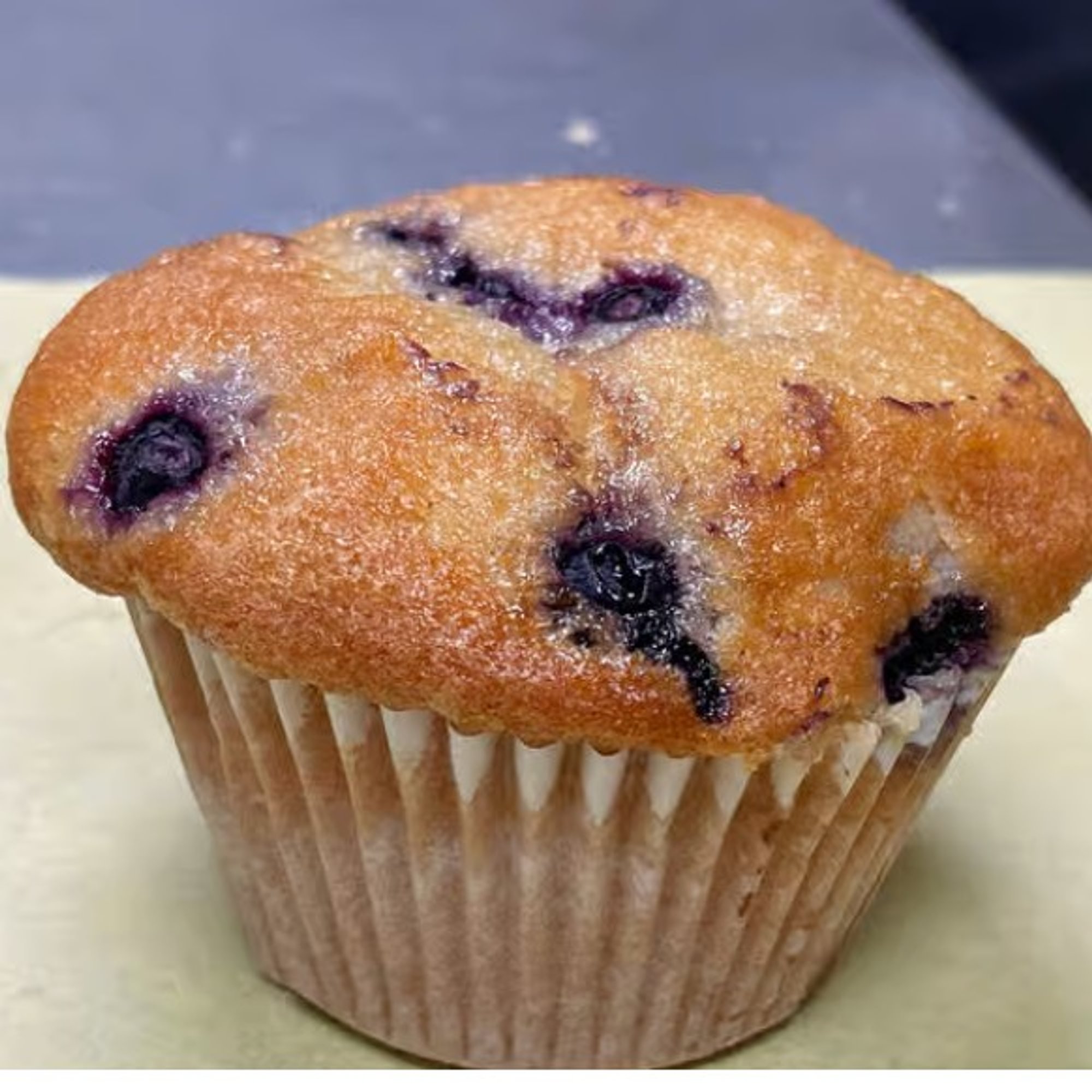 Blueberry Muffin