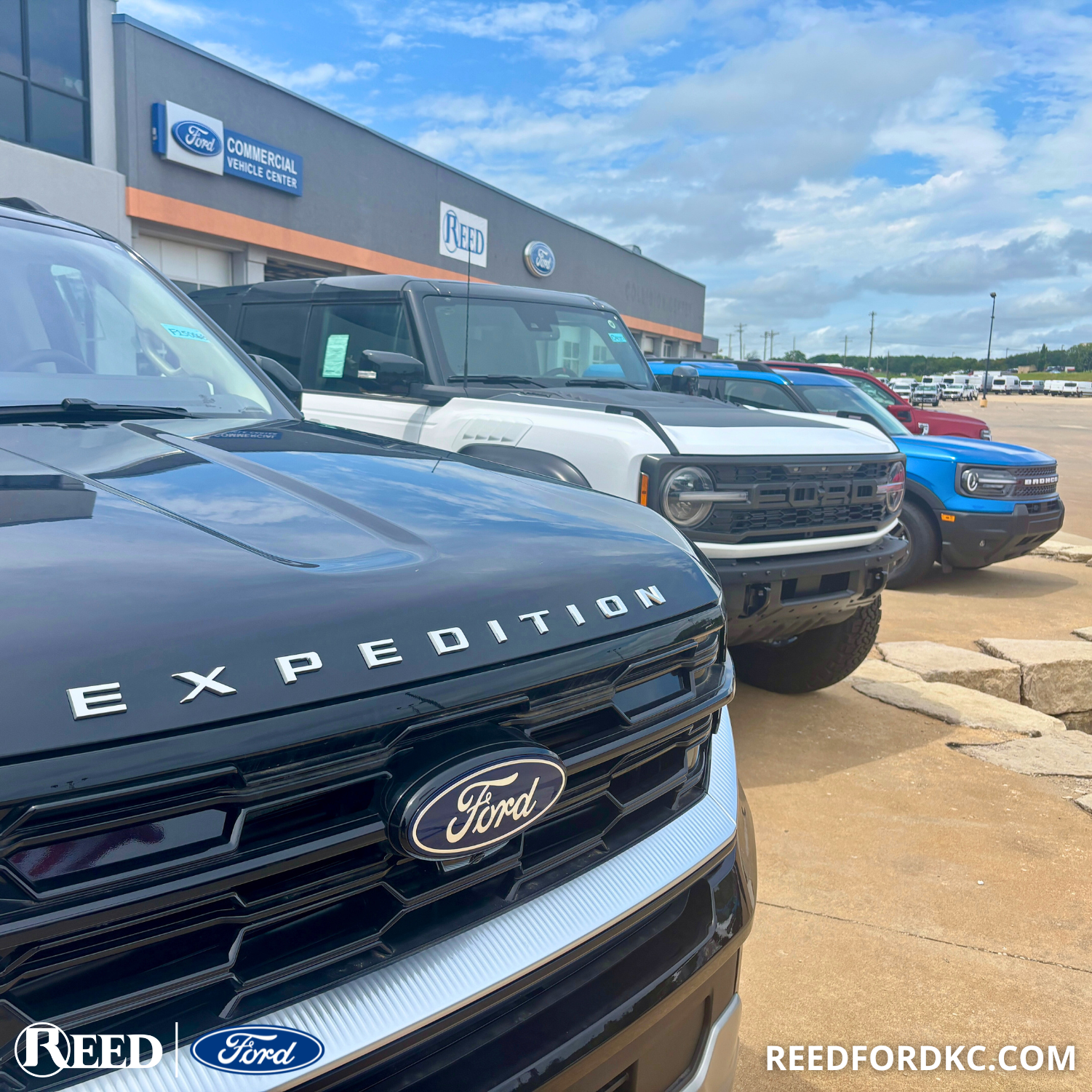 Reed Ford of Harrisonville Image