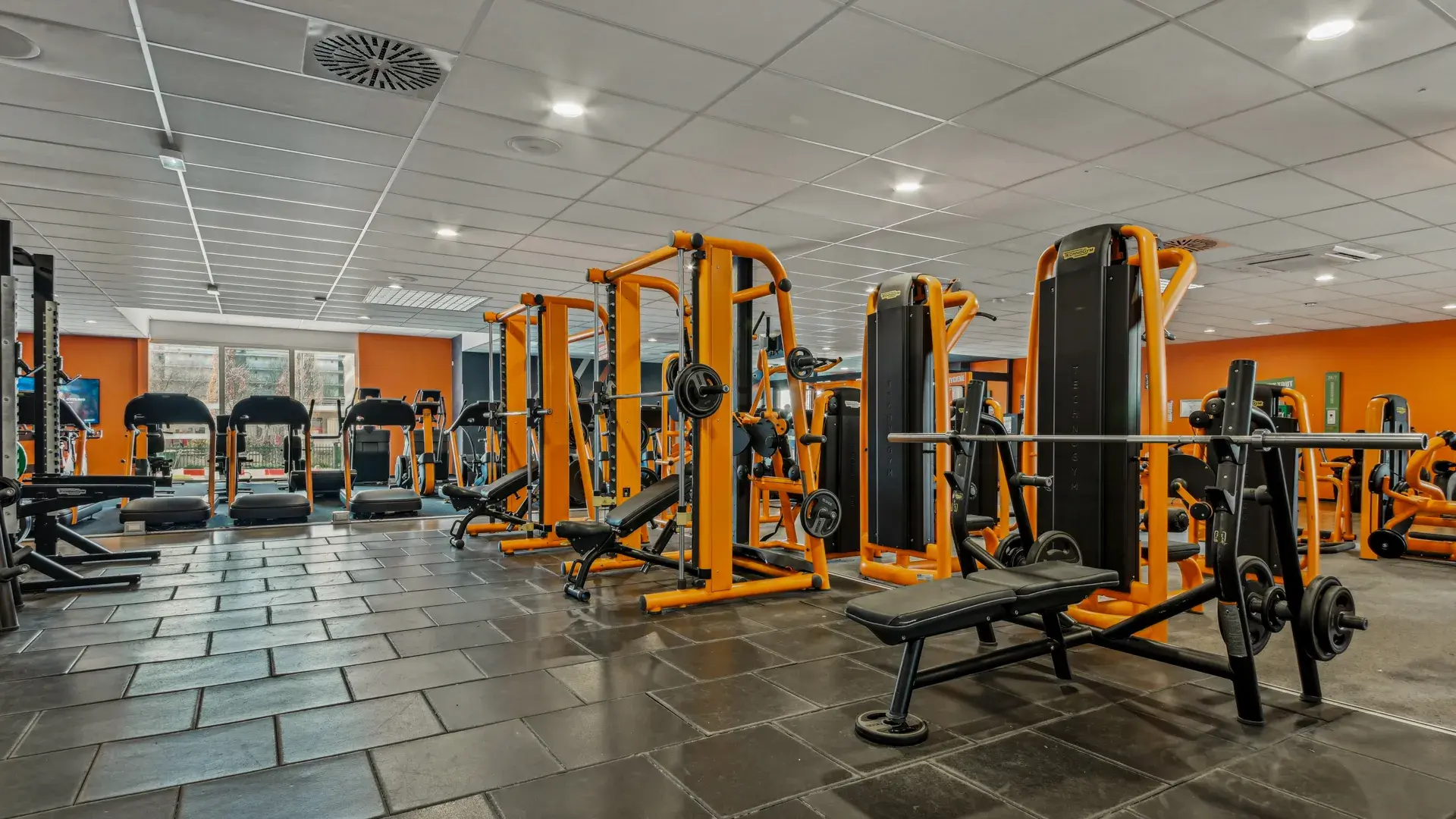 Miniature de la galerie