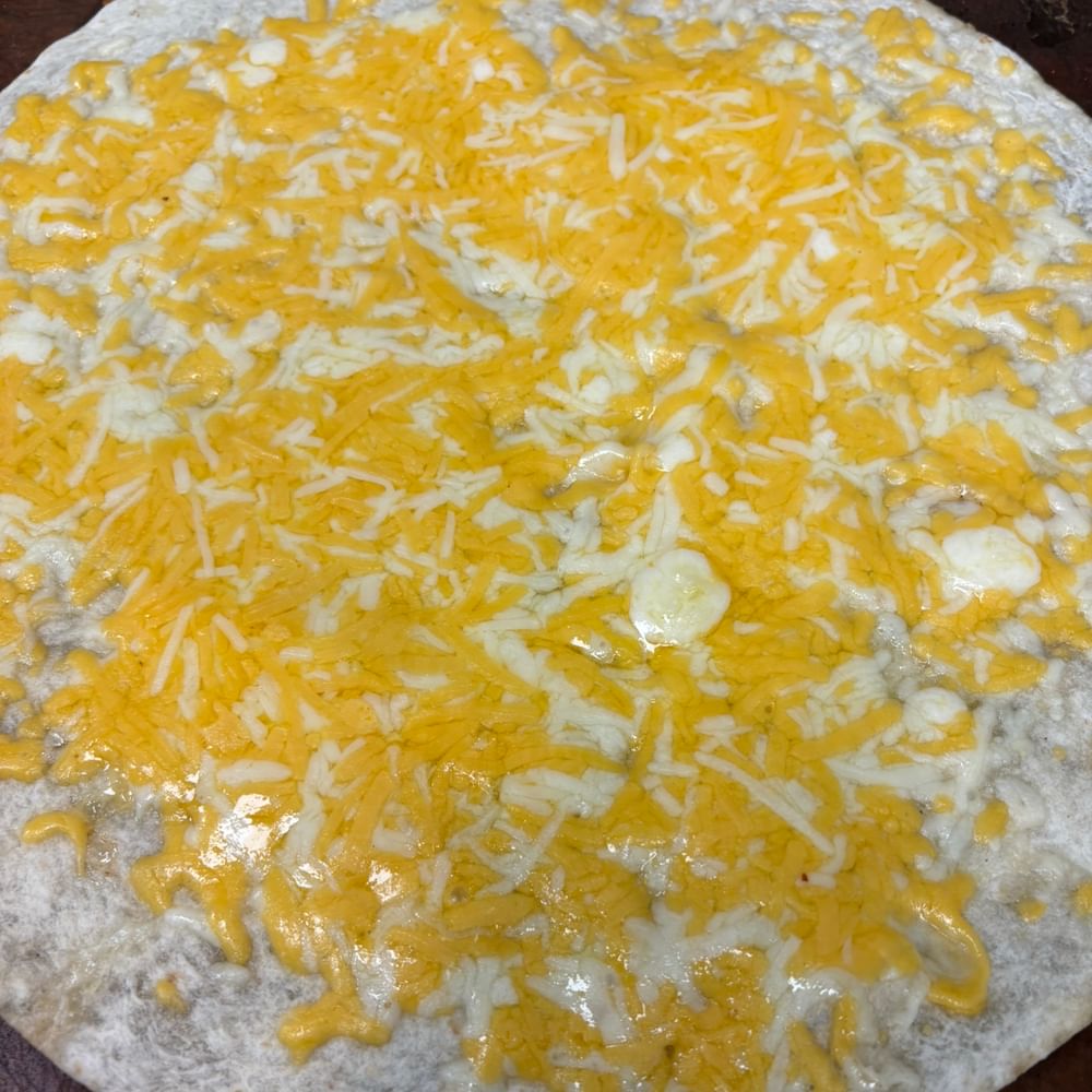 Cheese Quesadilla