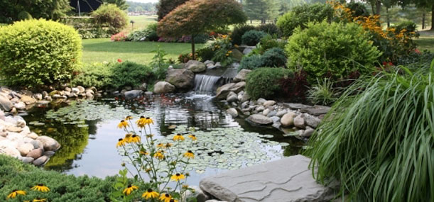 Landscaping by All Care Landscaping.
