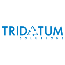 TriDatum Solutions Logo