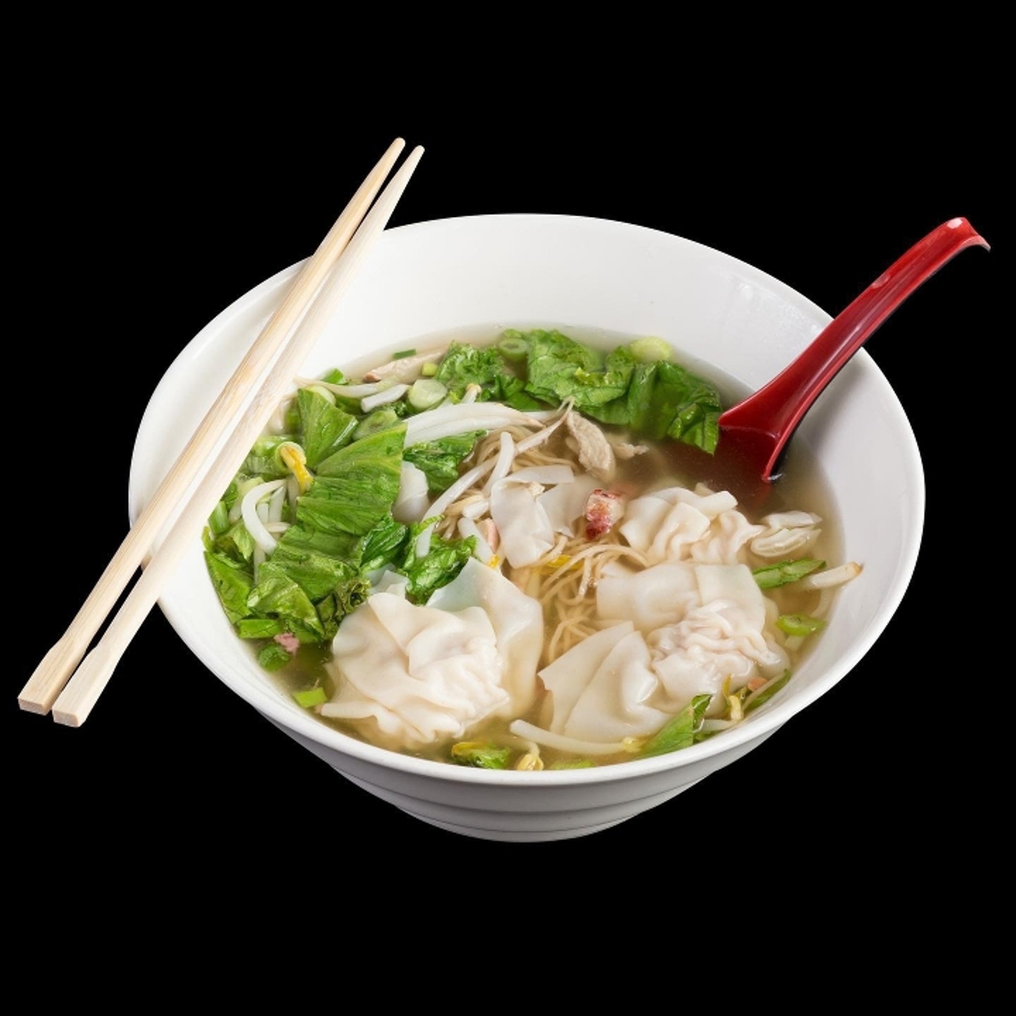 MIGHTY WONTON