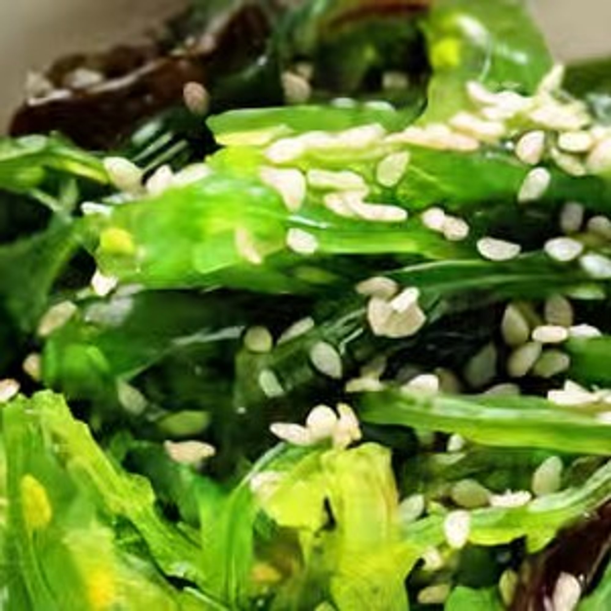 Seaweed Salad
