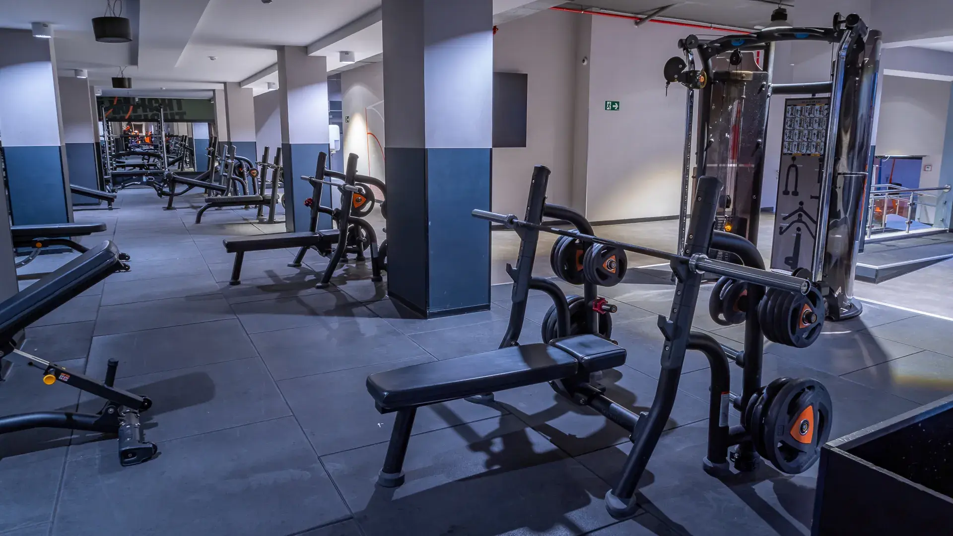 Galería de imágenes