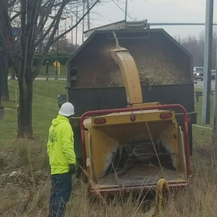 Langford Tree Service Image