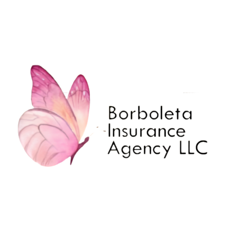 Borboleta insurance agency