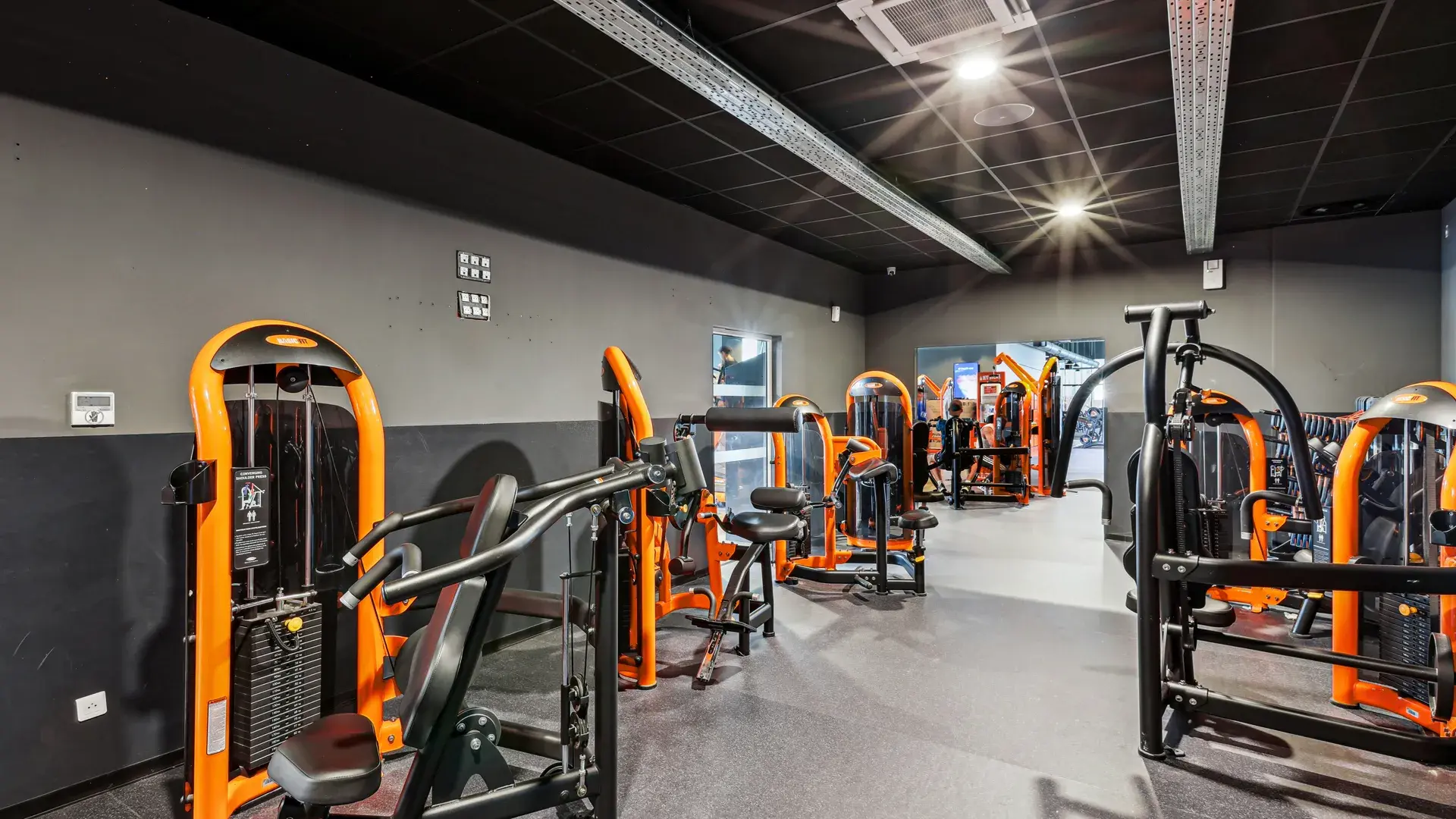 Miniature de la galerie