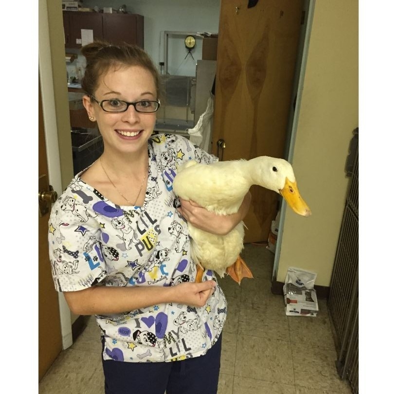 Stephens City Animal Hospital Image