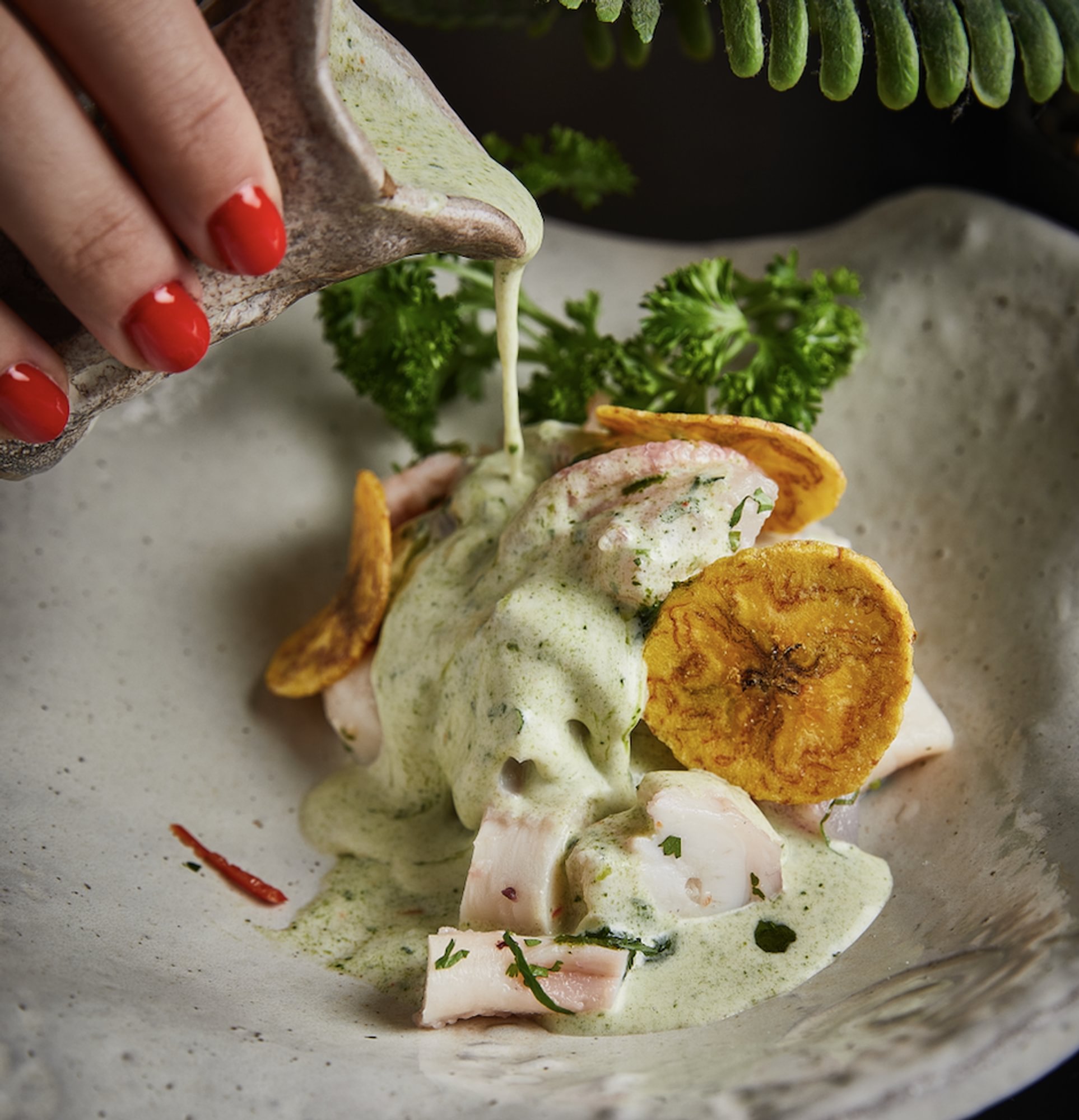 Wasabi Ceviche