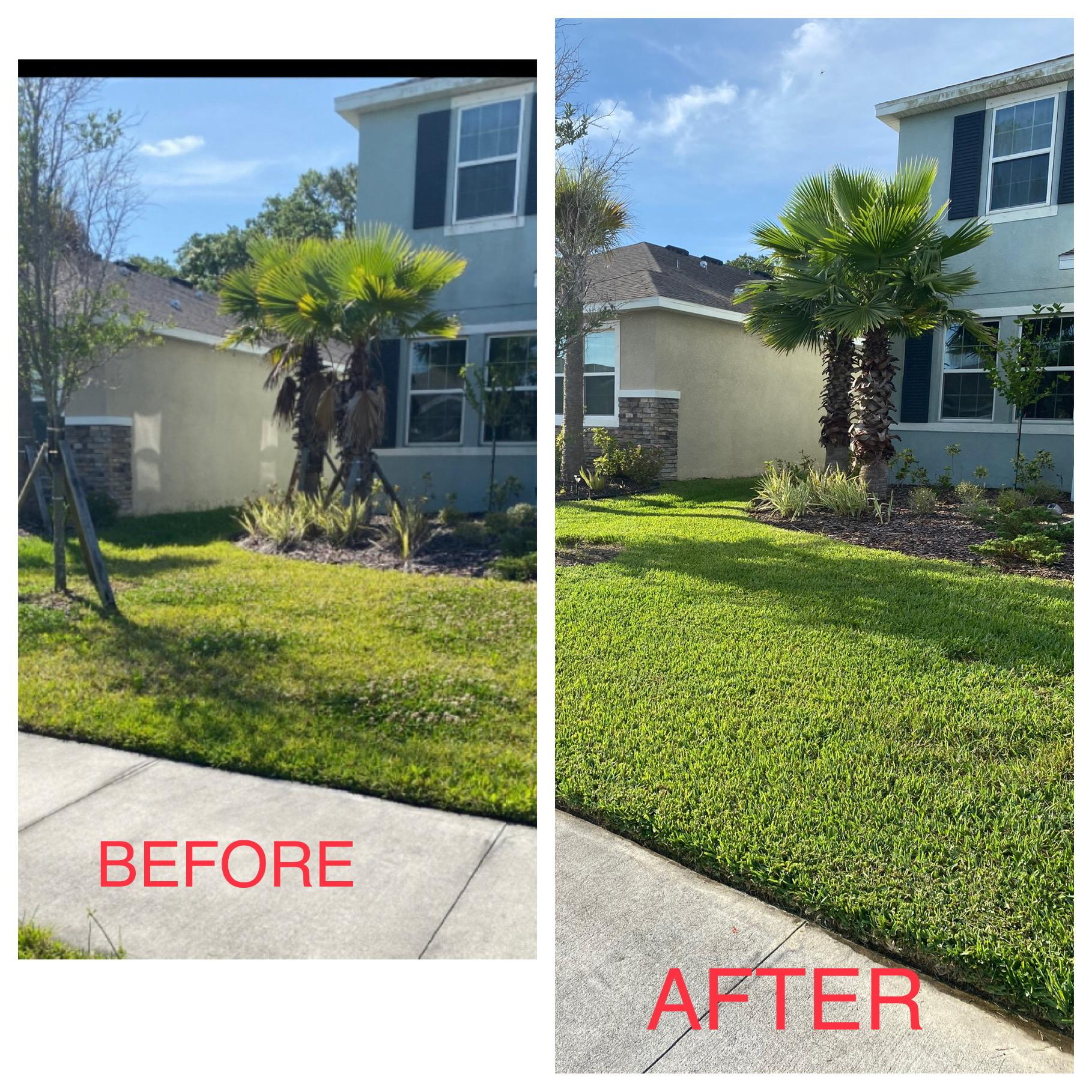 Forever Green Lawn and Pest Control Image