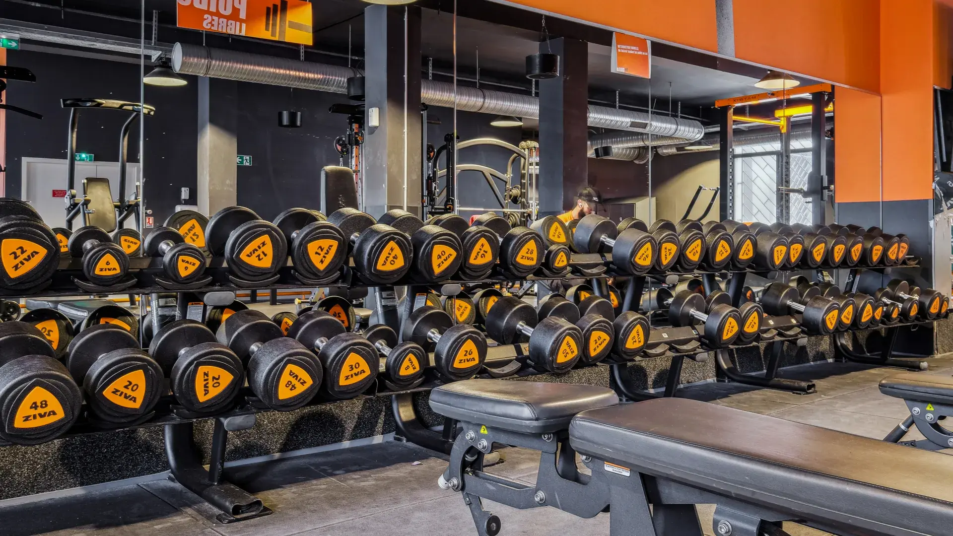 Miniature de la galerie