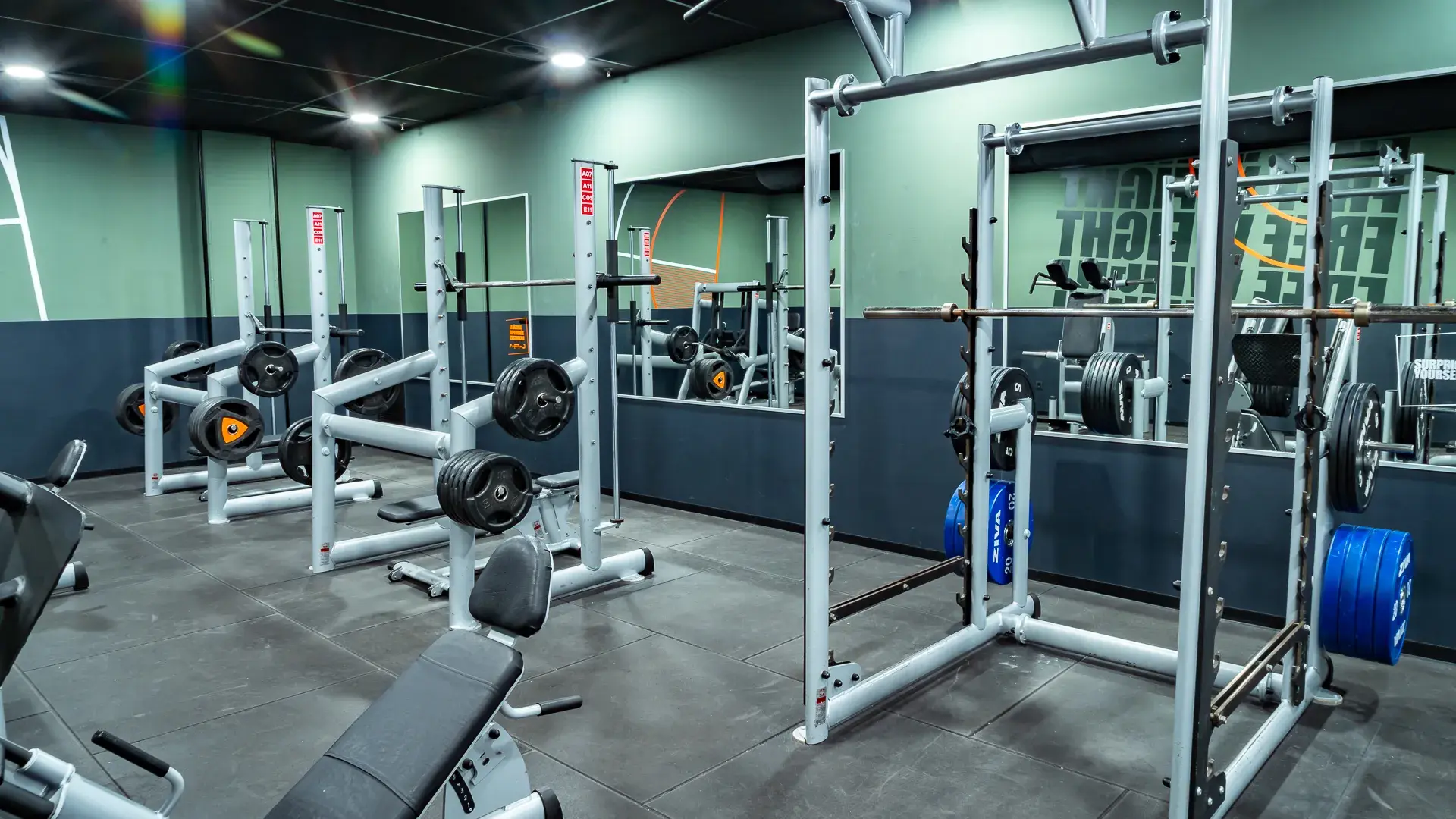 Galería en miniatura