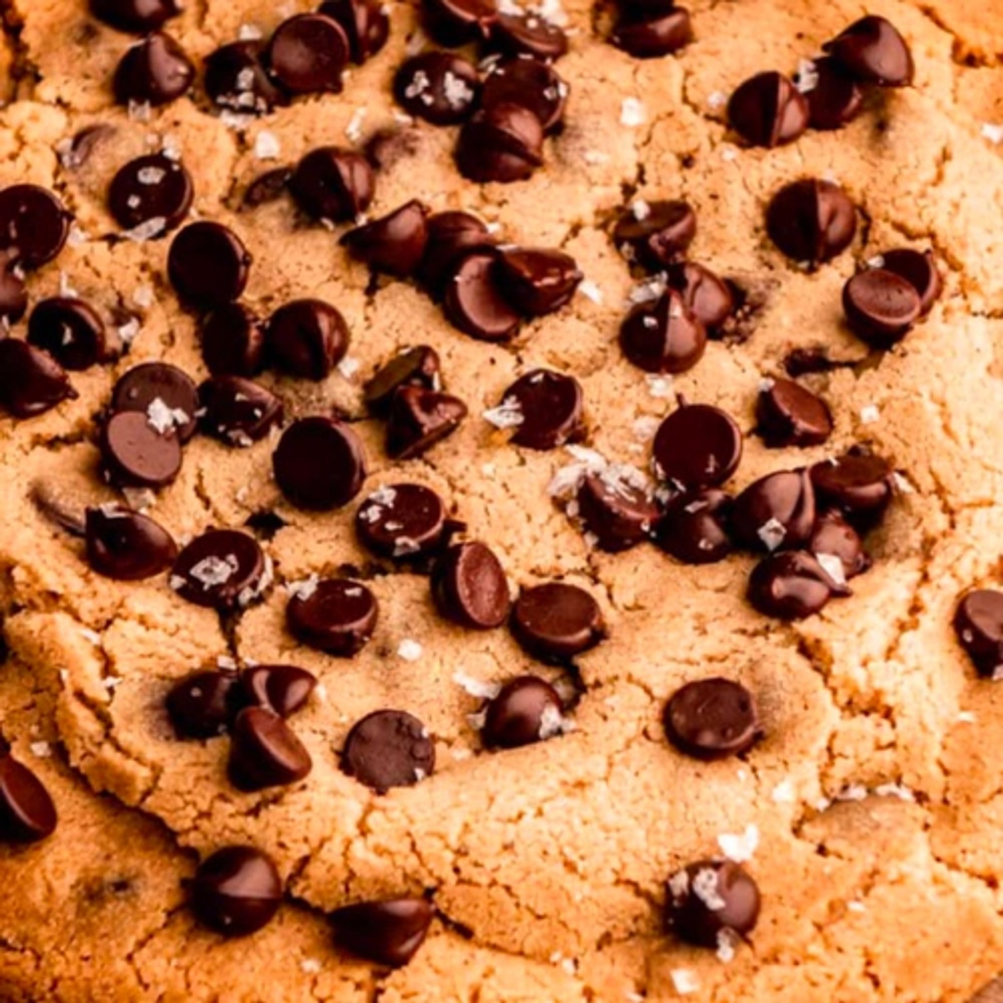 GIANT CHOCOLATE CHIP cookie