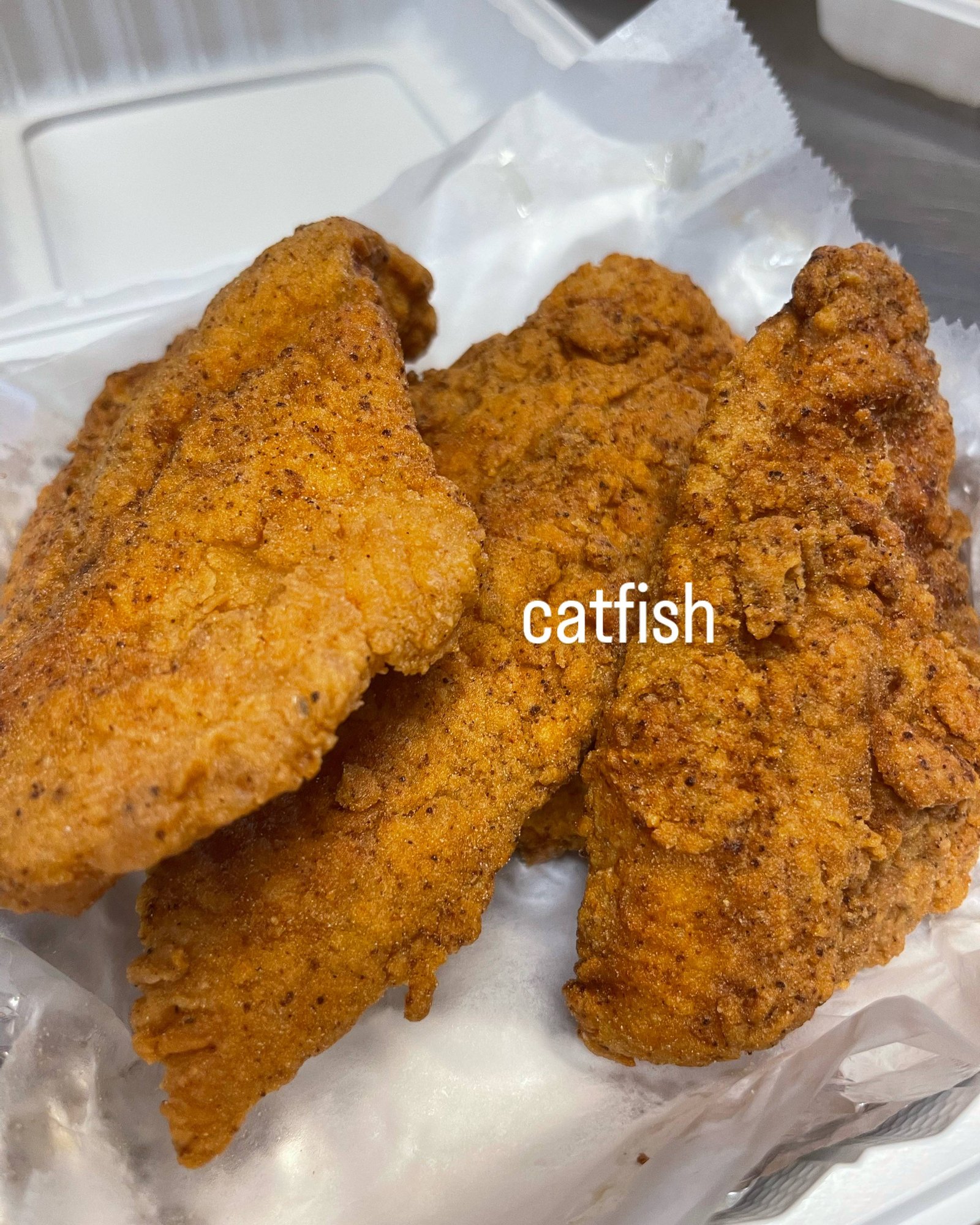 Cat fish (2)