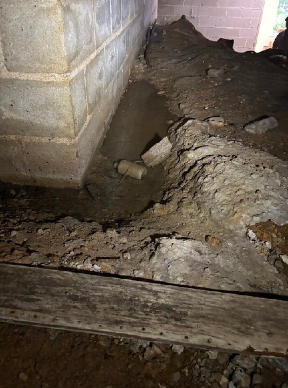 Ox Foundation Solutions Image