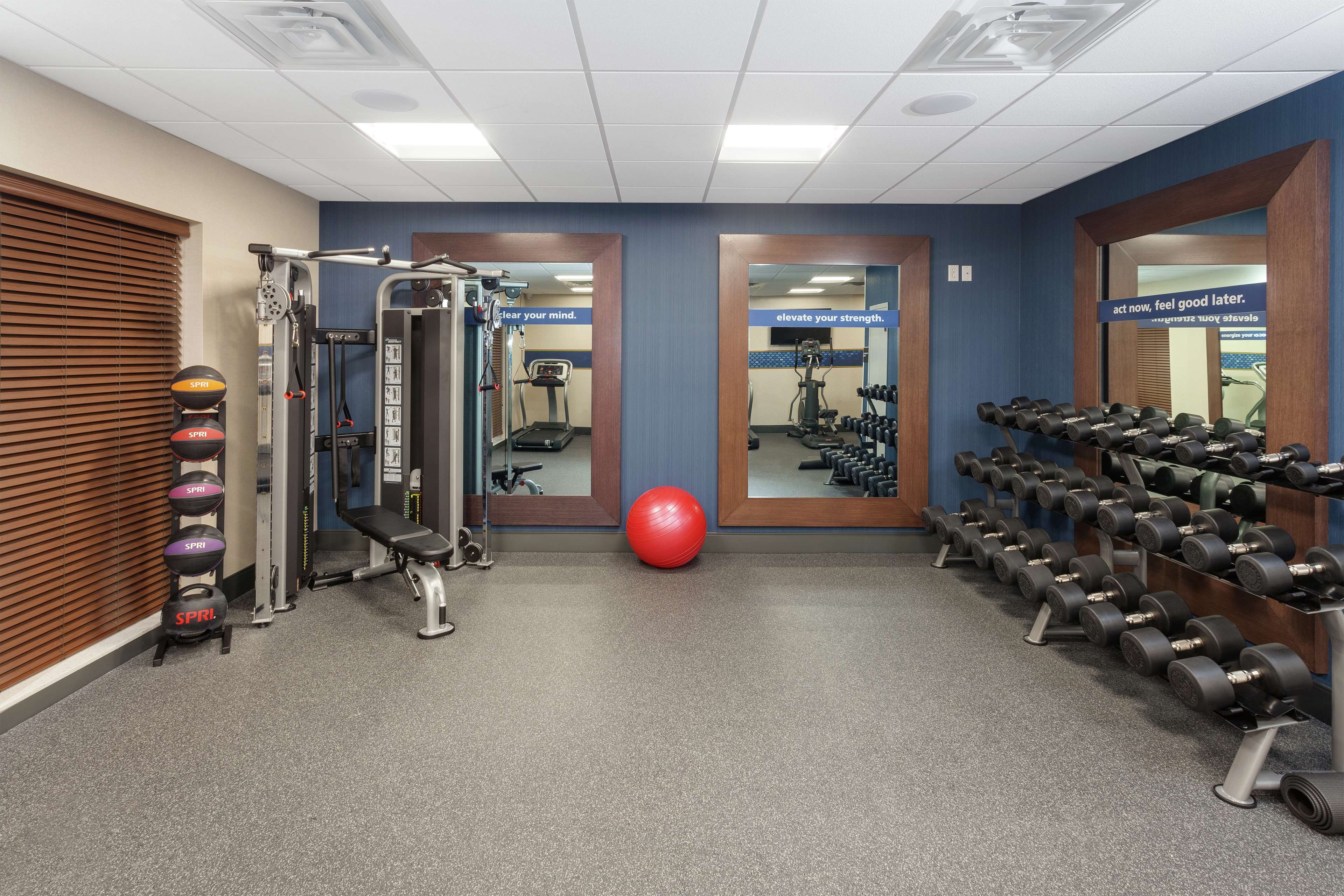 Health club  fitness center  gym