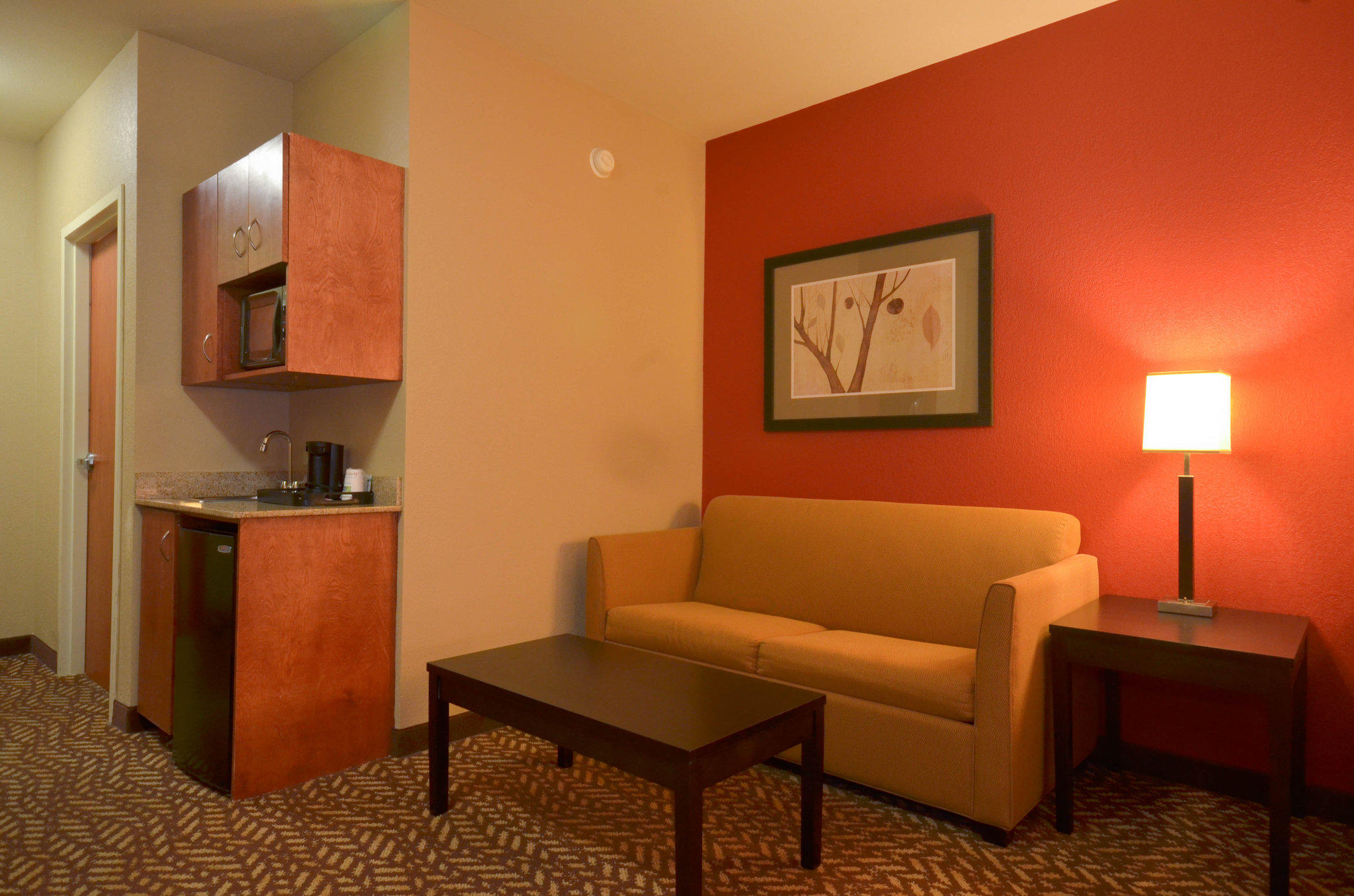 Holiday Inn Express & Suites Pine Bluff/Pines Mall Photo