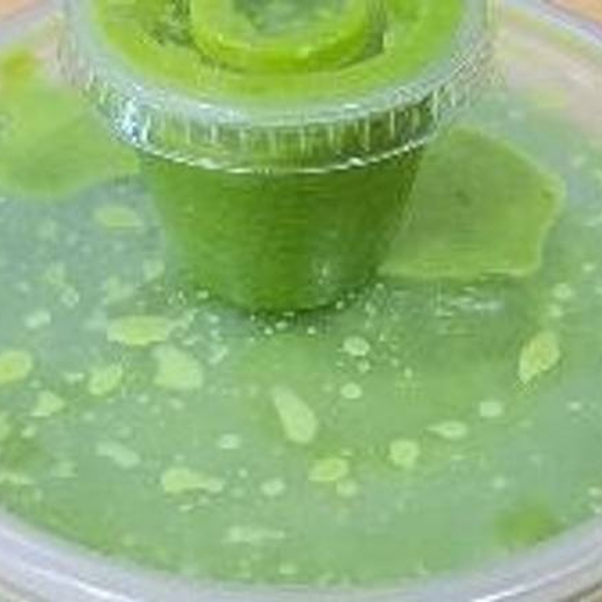 Jalapeno Sauce