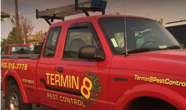 Termin 8 Pest Control Photo