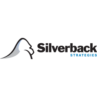 silverback strategies glassdoor