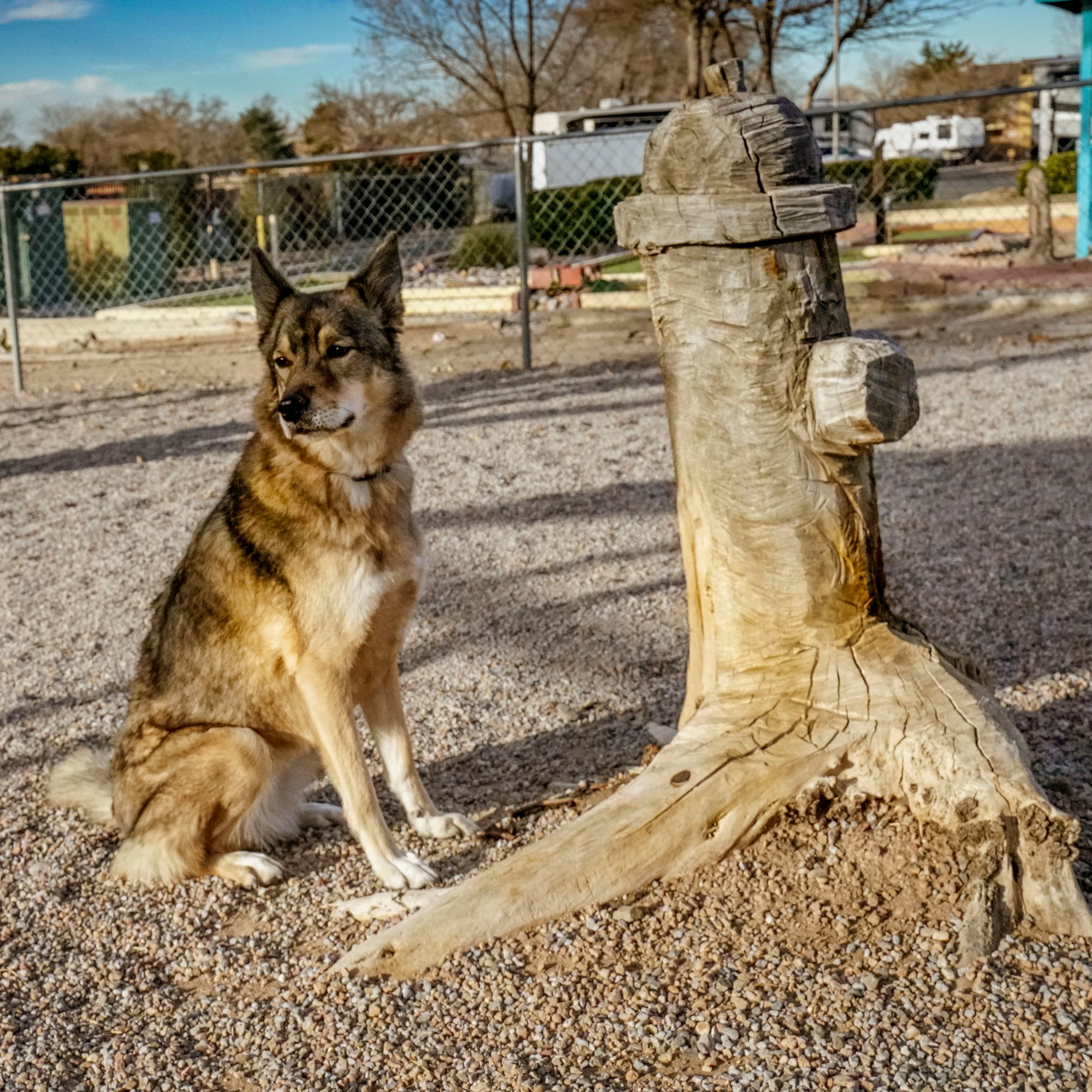 Albuquerque KOA Journey Photo