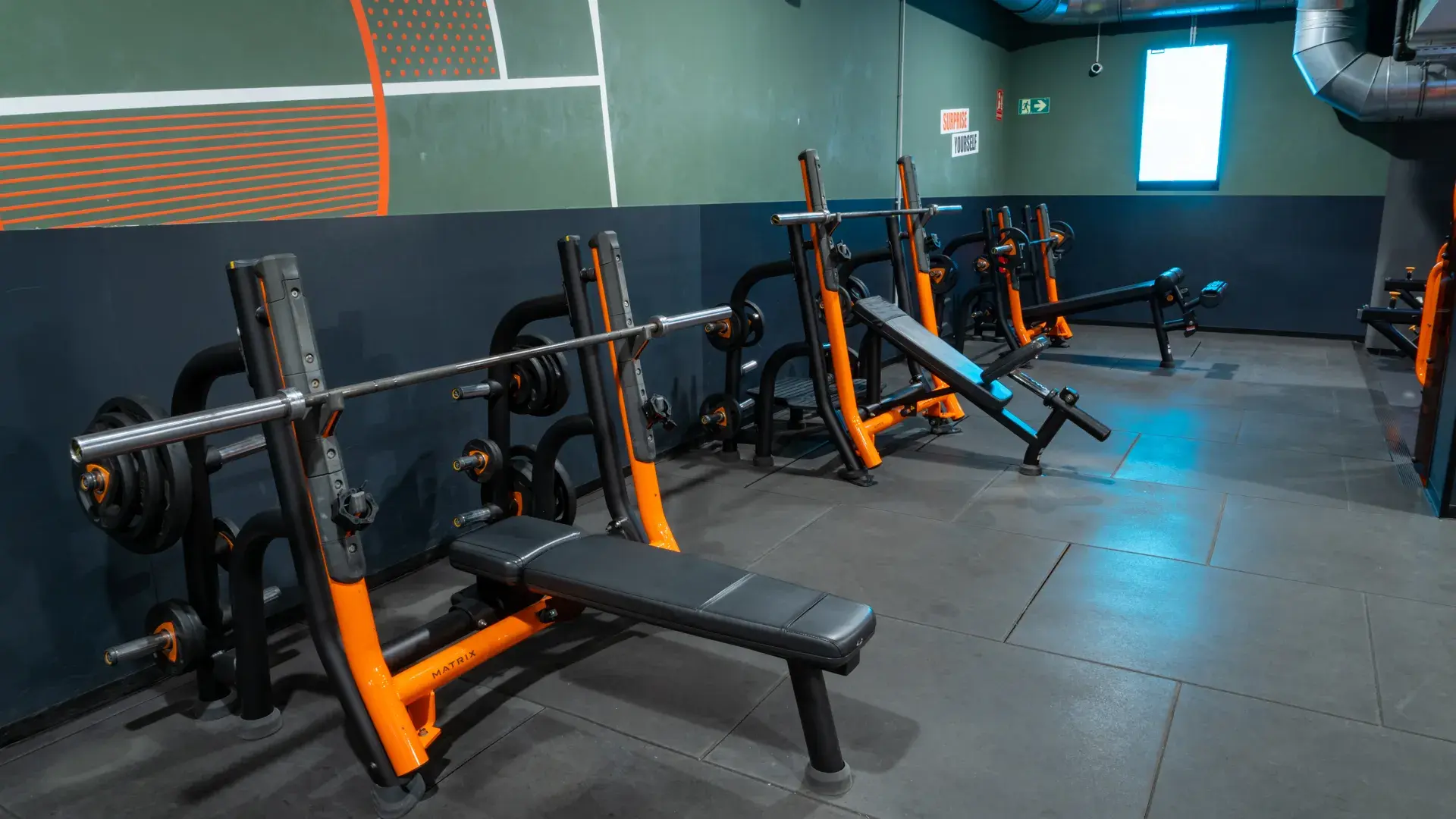 Galería de imágenes