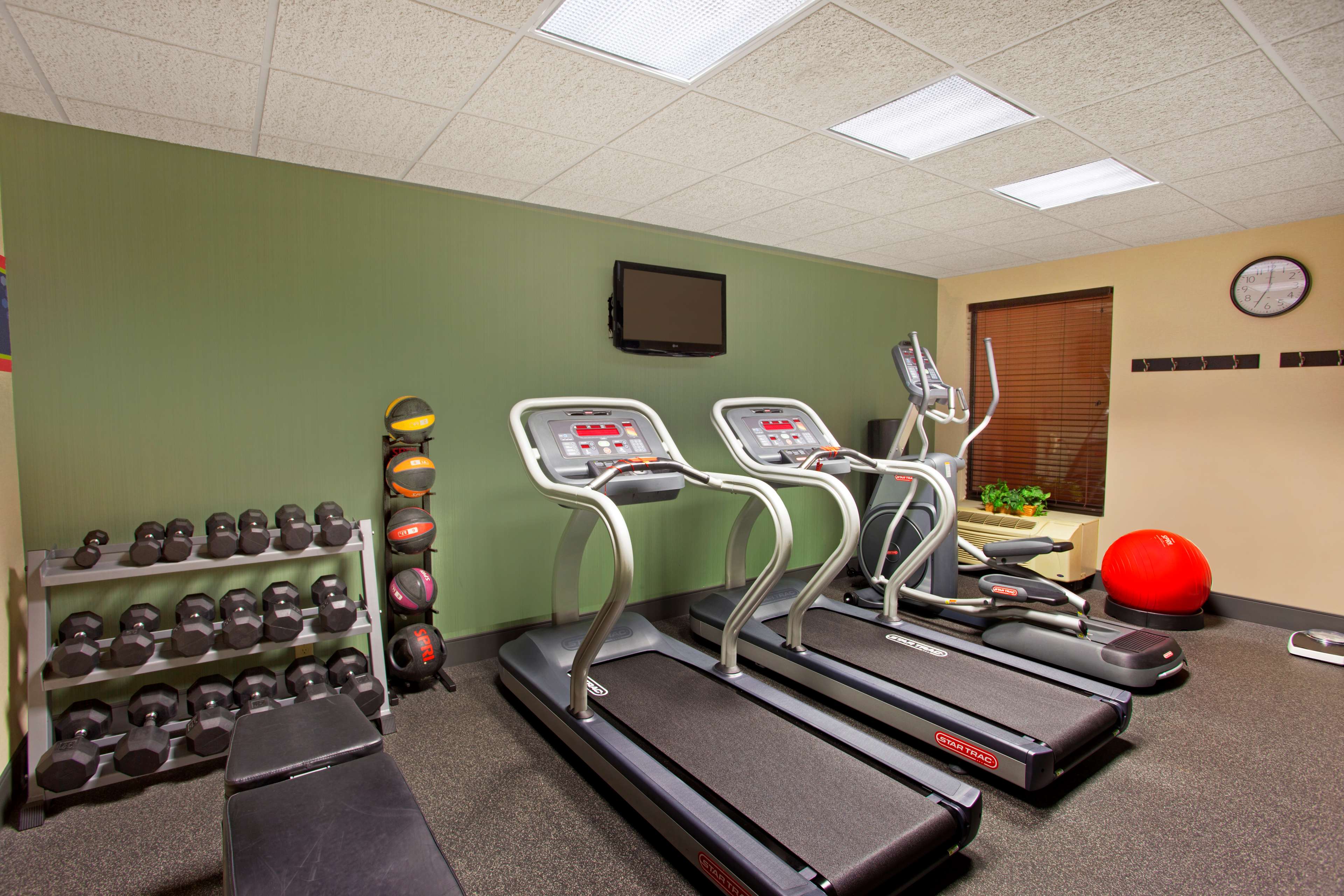 Health club  fitness center  gym