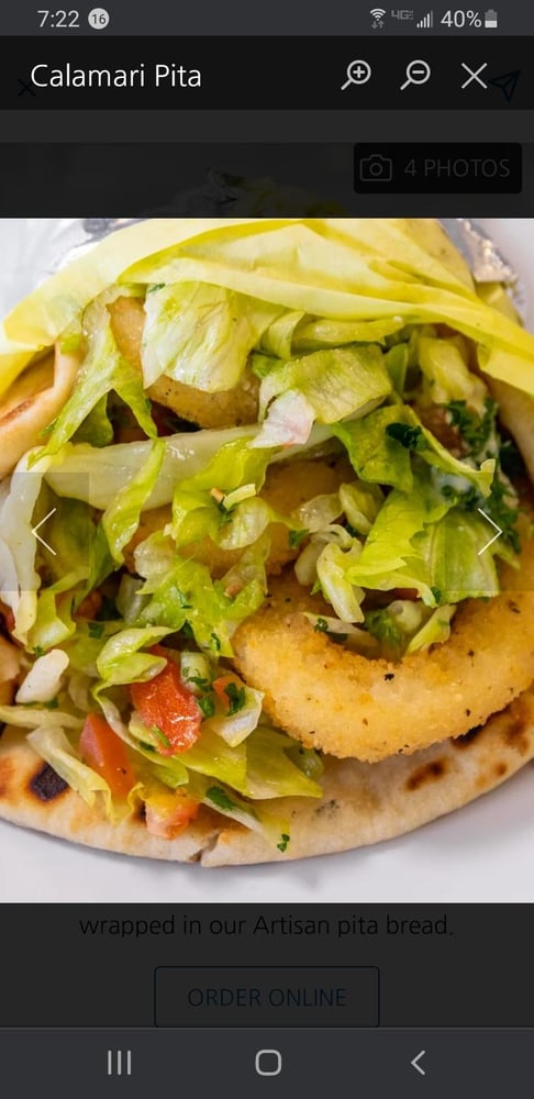 Calamari Pita