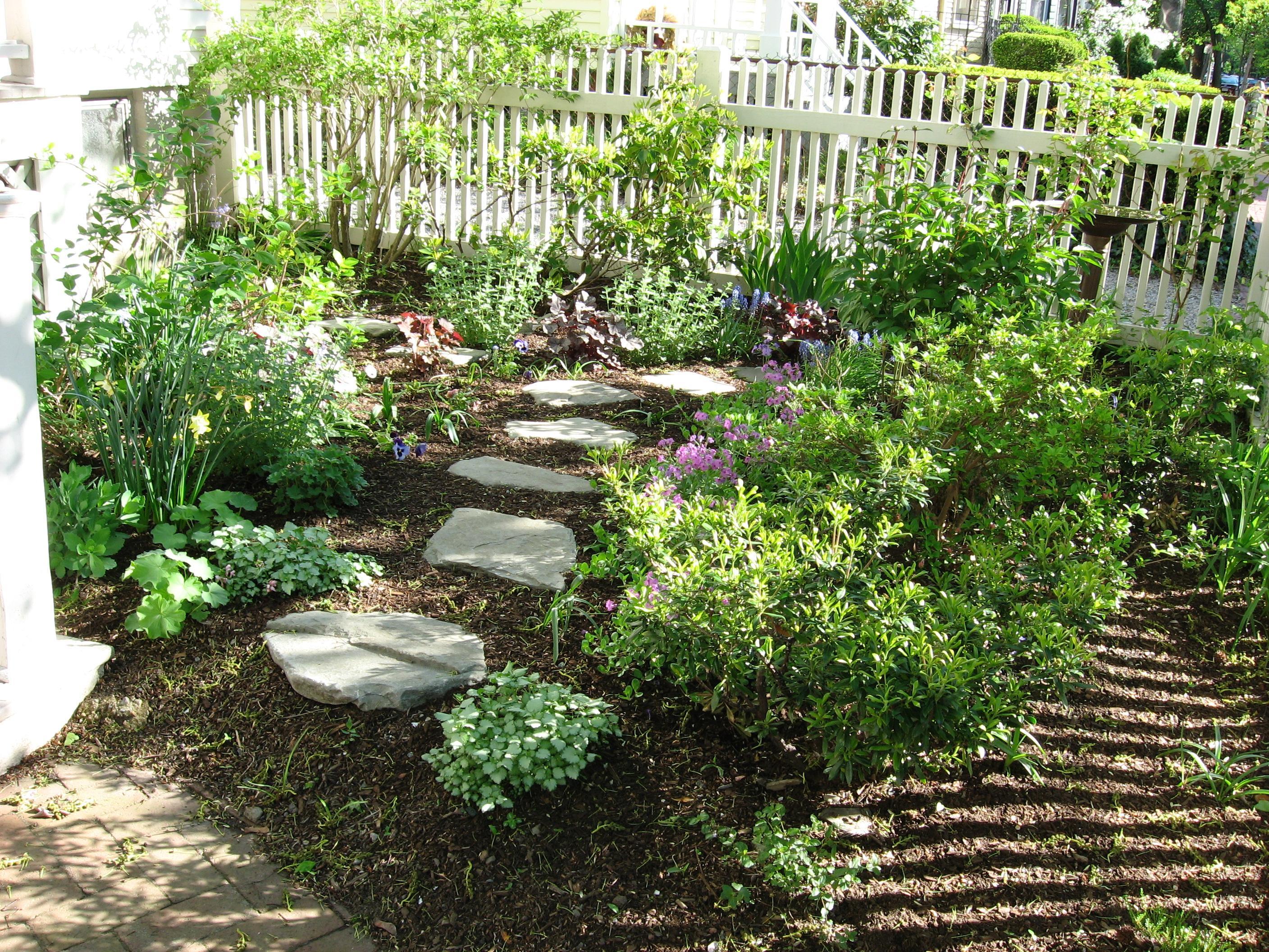 Stepping stones, a bird bath, and interesting plantings create a lovely garden 