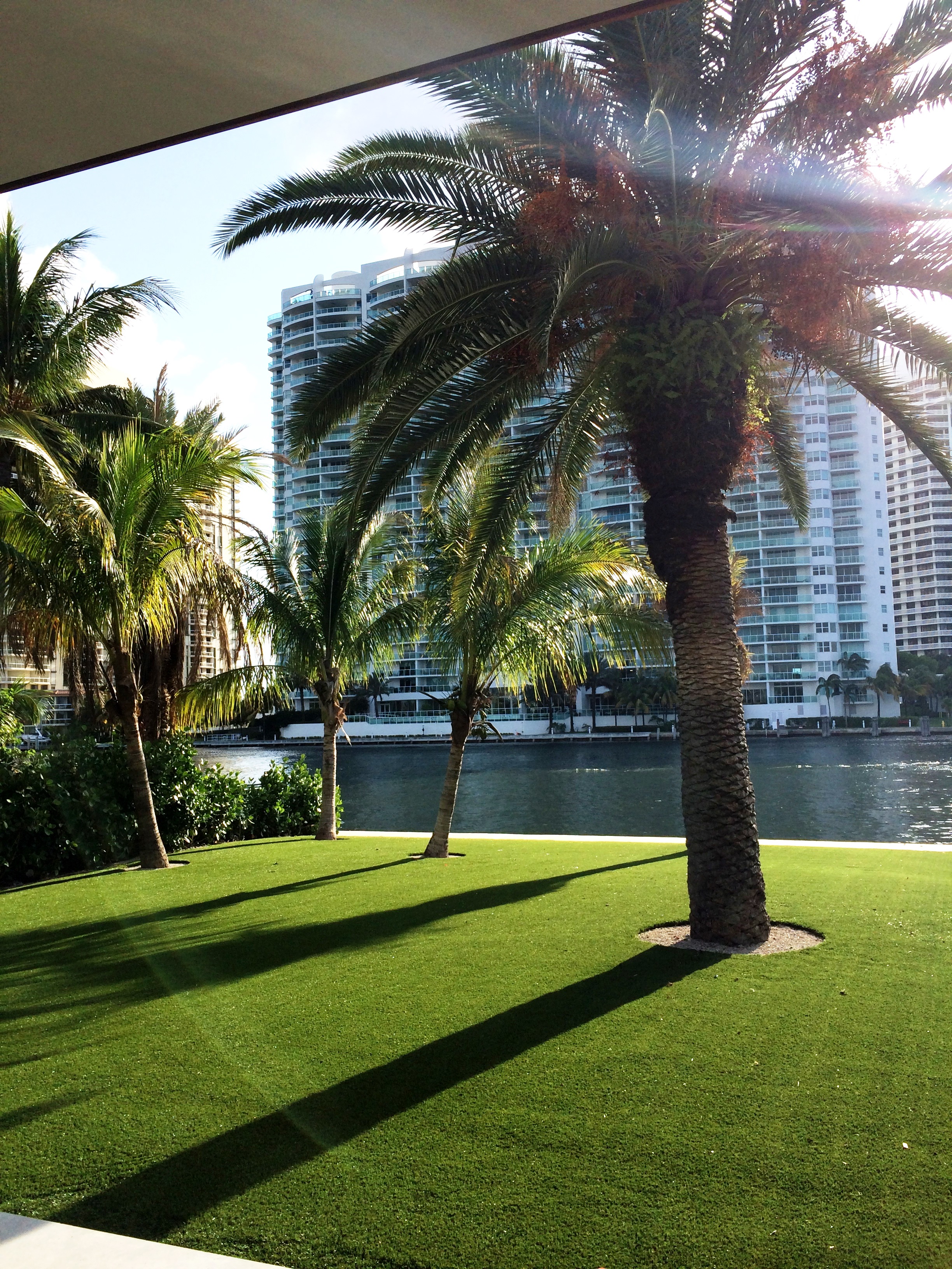 Go Forever Green Artificial Grass & Ivy Photo