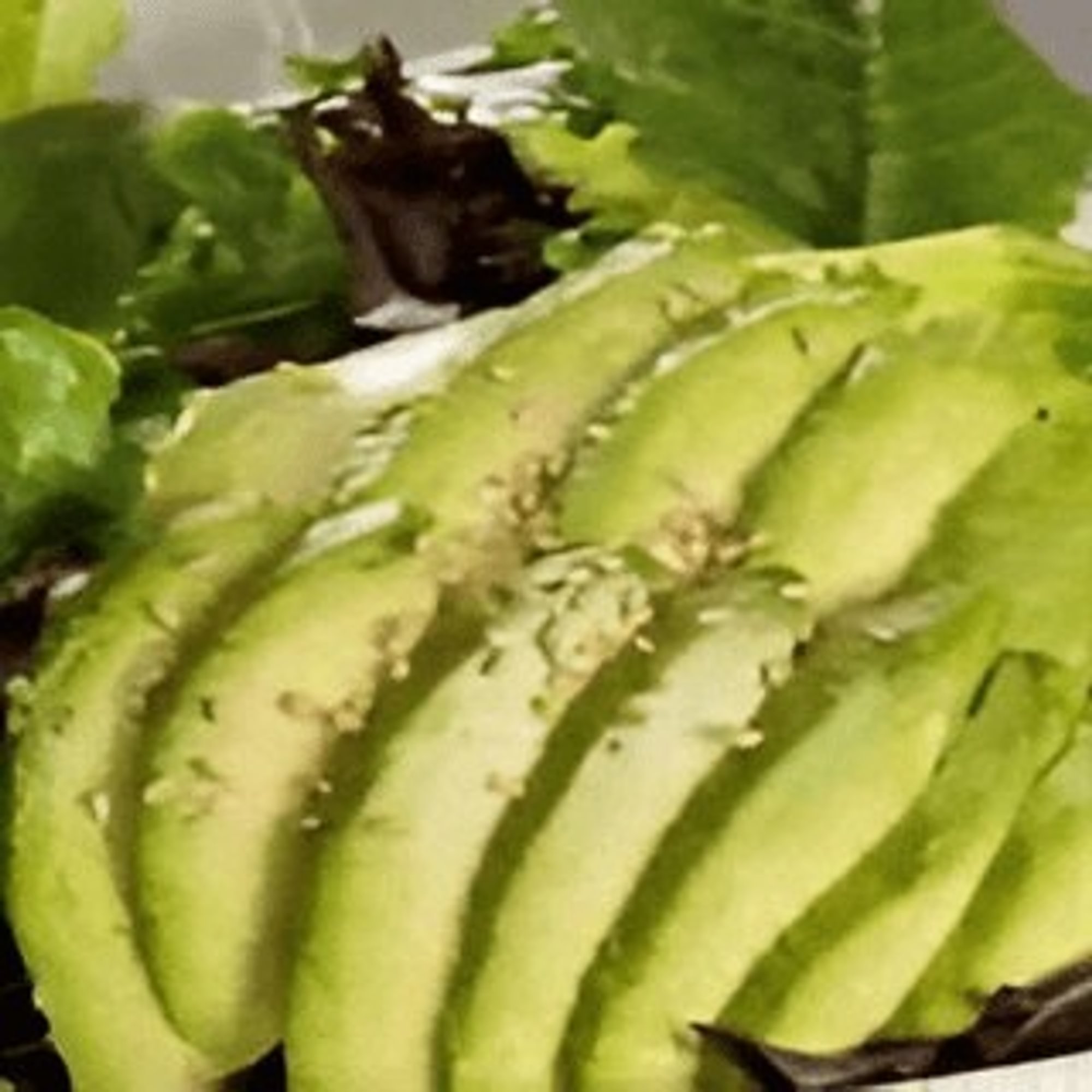 Avocado Salad