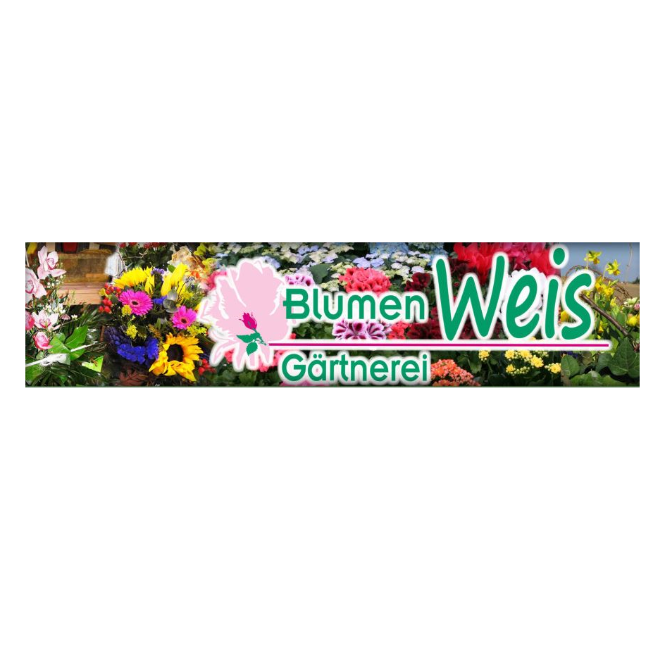 Logo von Blumen Weis