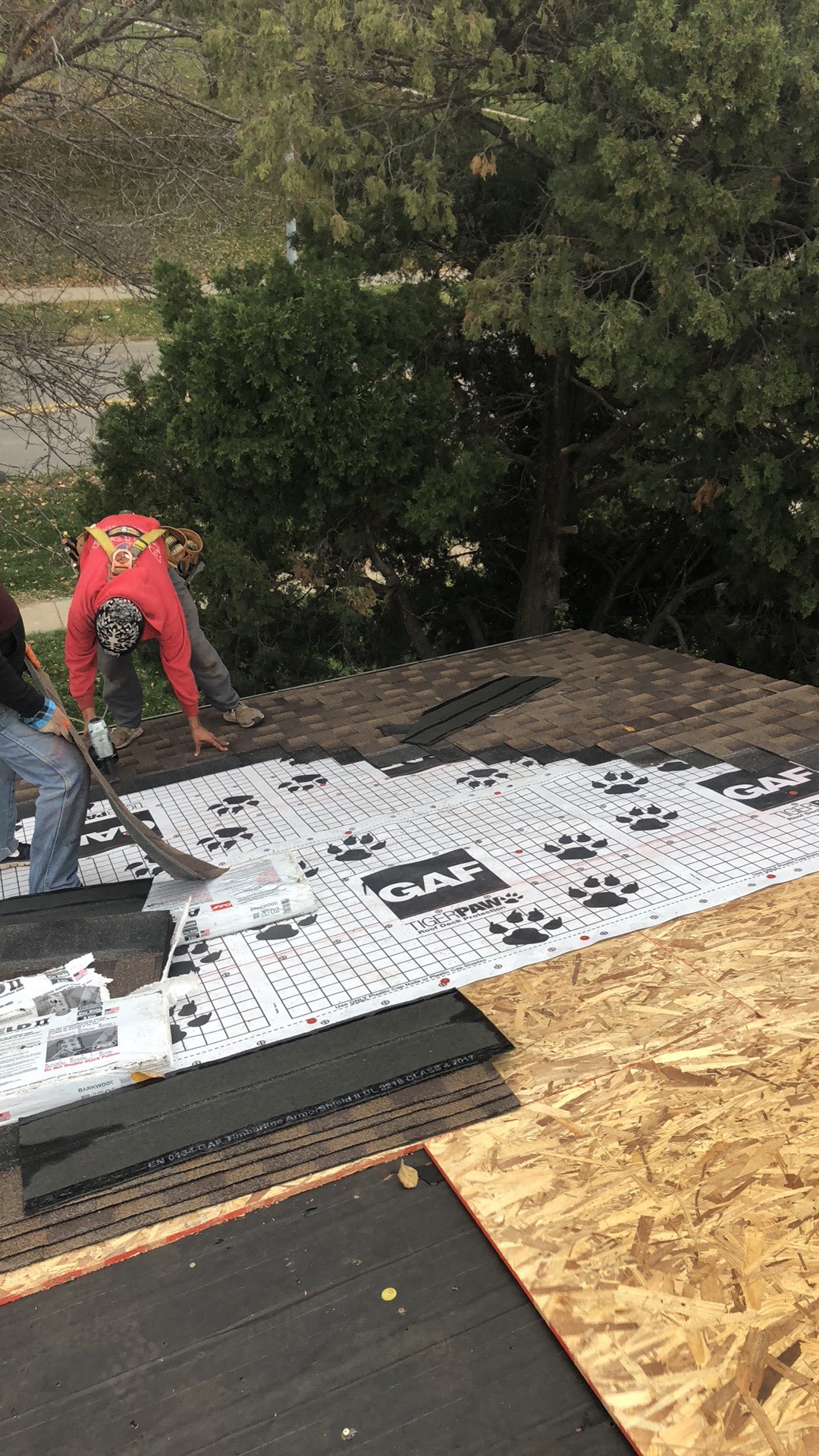 Innovative Roofing Image