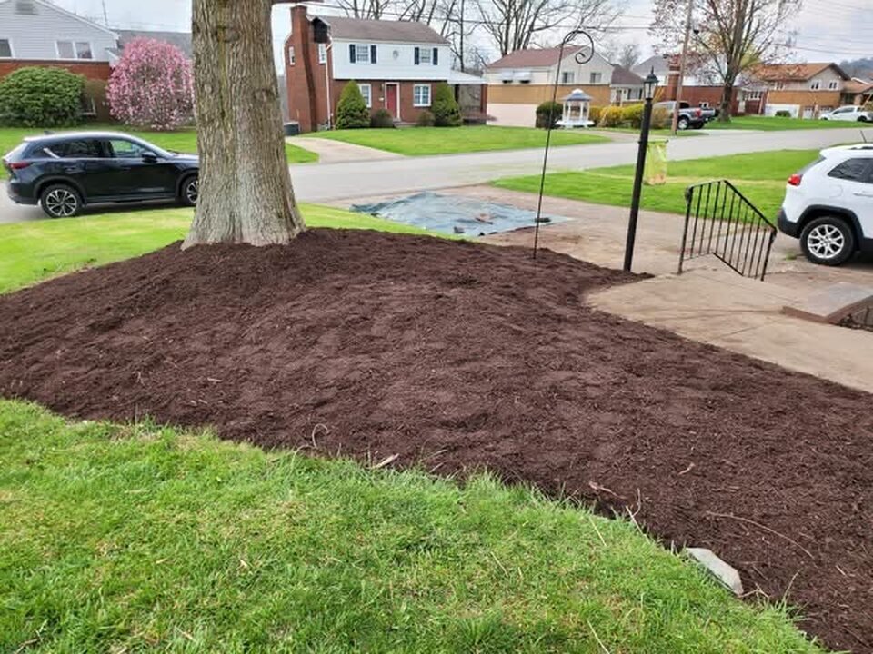 Gabriel Landscaping Image