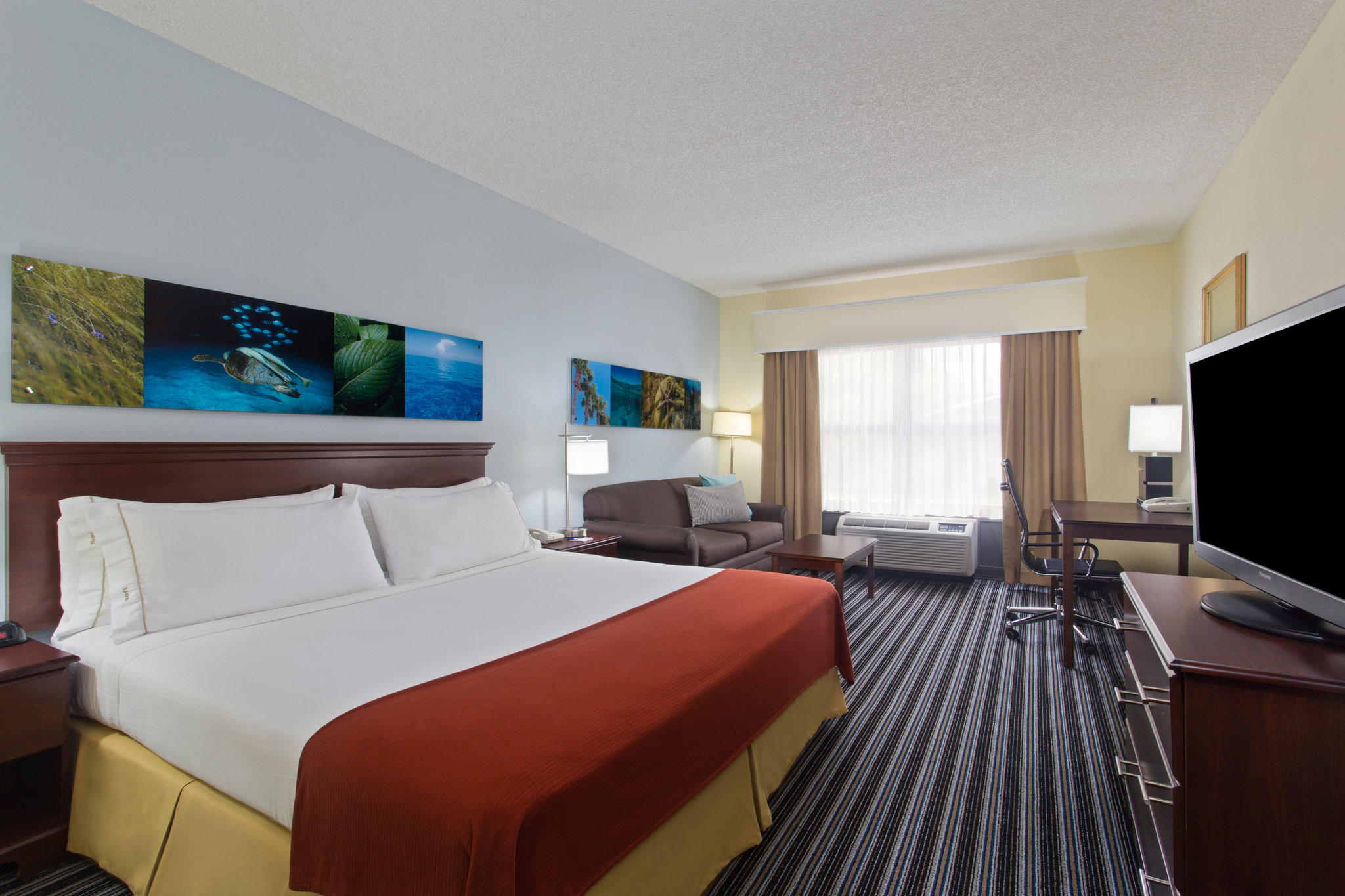 Holiday Inn Express & Suites Clearwater North/Dunedin Photo