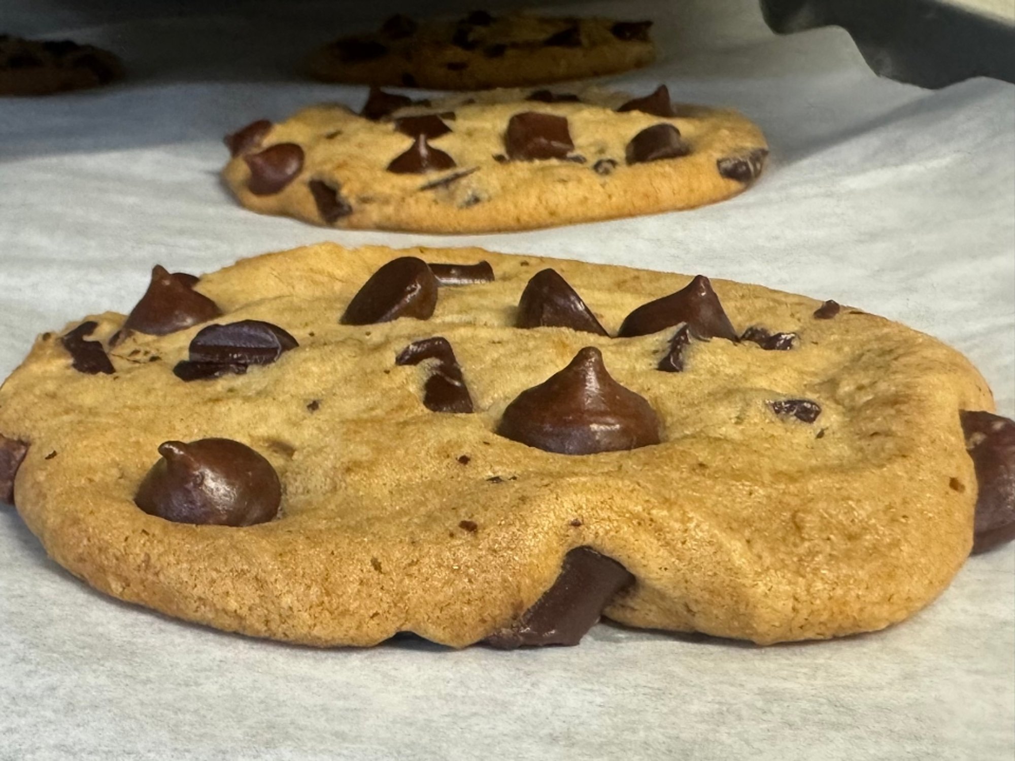 Double Chocolate Chunk Cookie