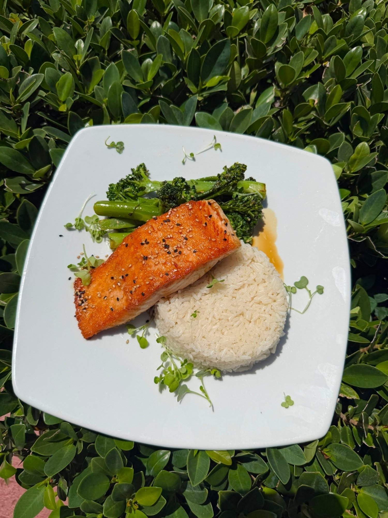 Teriyaki Salmon