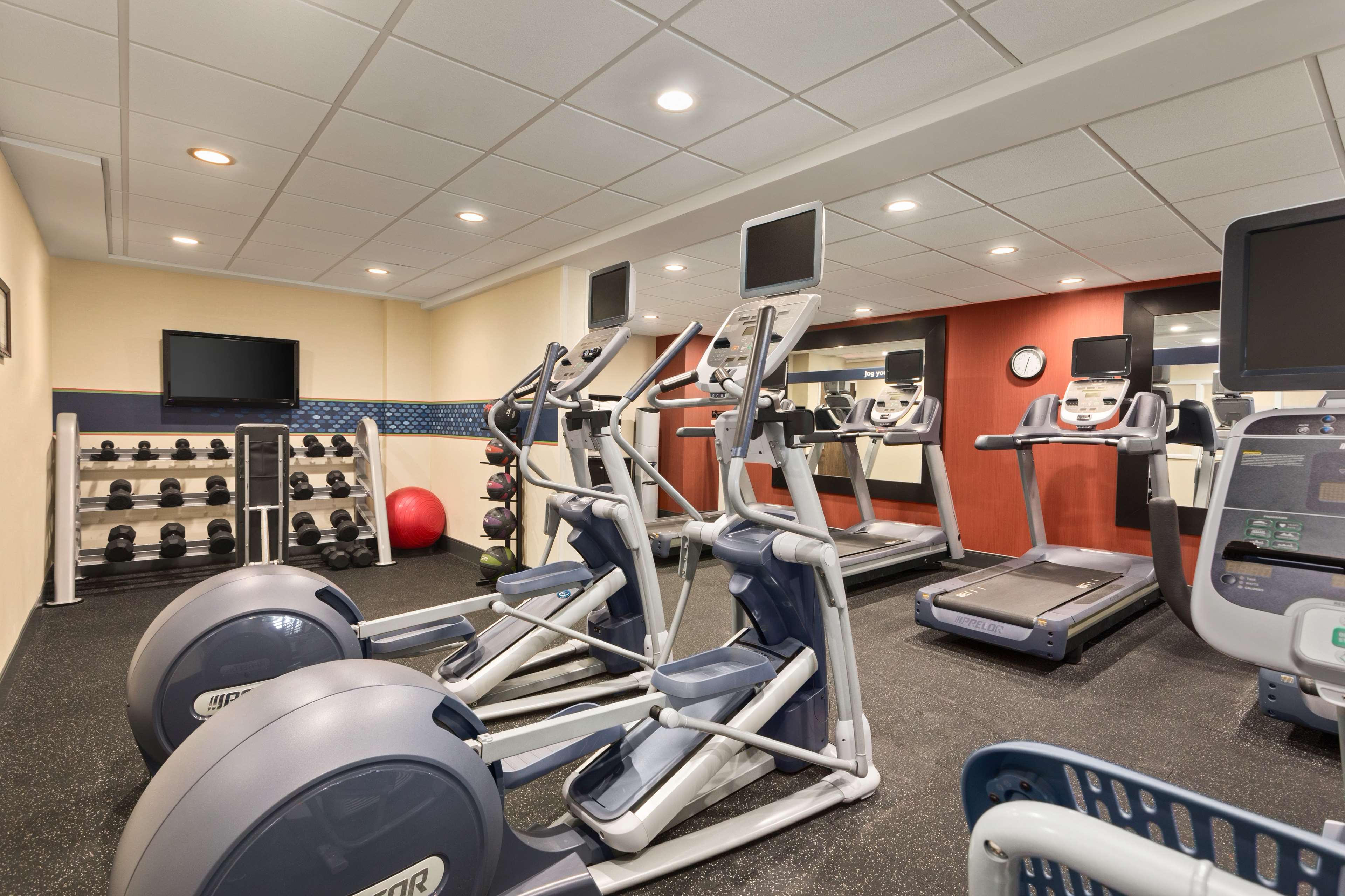 Health club  fitness center  gym